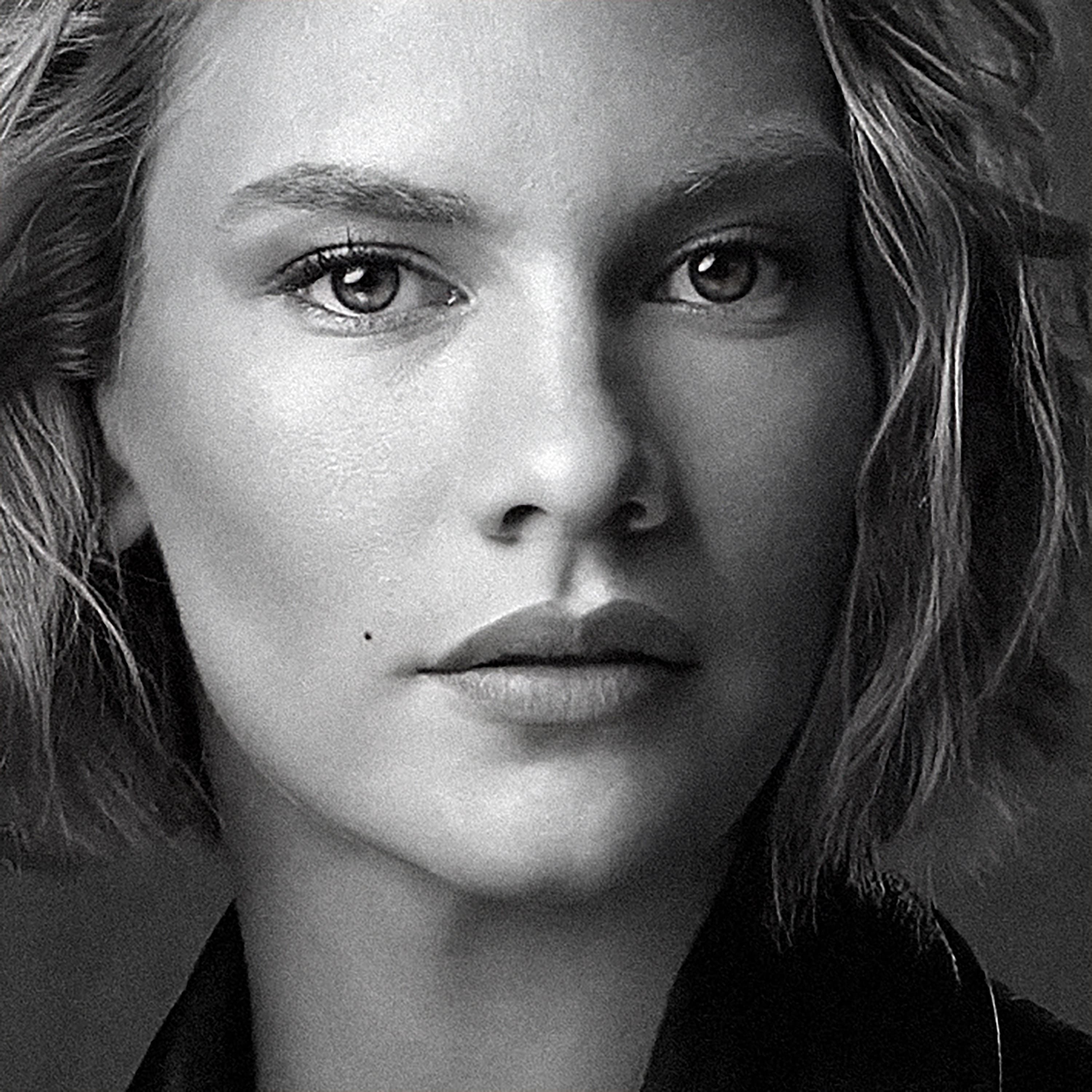 1167 / két róka eszik egy macskát, nápolyi, Kormos Anett