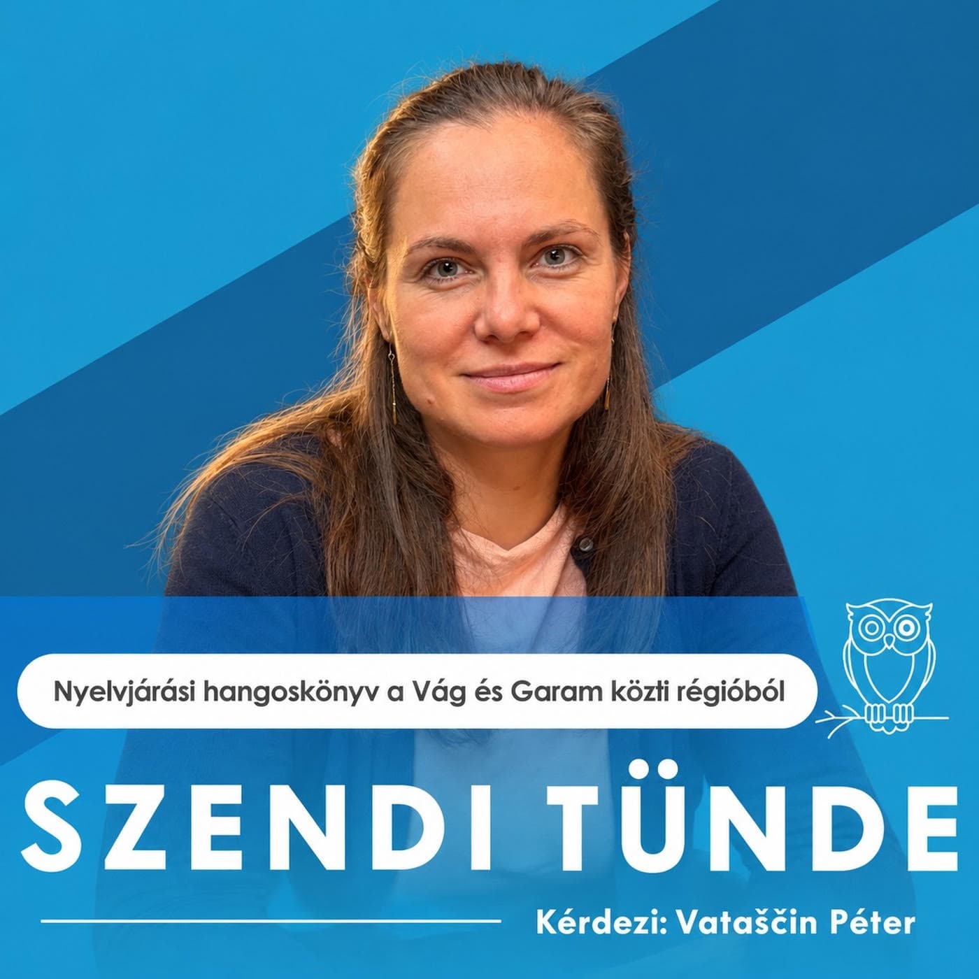 Nyelvjárási hangoskönyv a Vág és Garam közti régióból