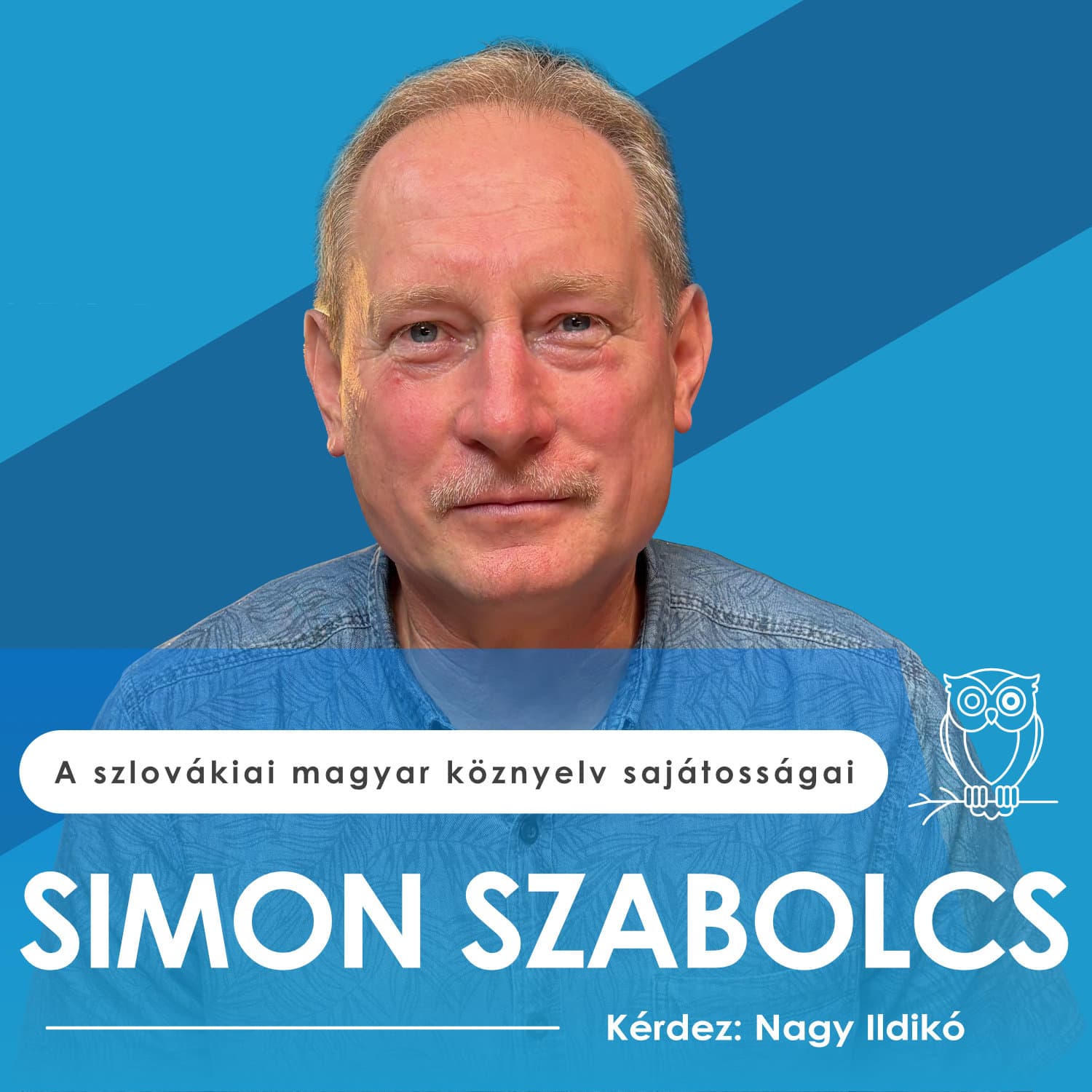 A szlovákiai magyar köznyelv sajátosságai