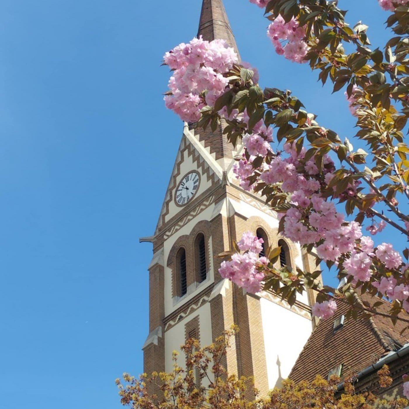 Böjt 6. vasárnapja (Palmarum) - MGyTK