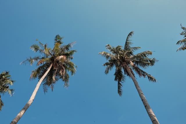 Nyári válogatás az Egyenes Labirintusban (ism.)