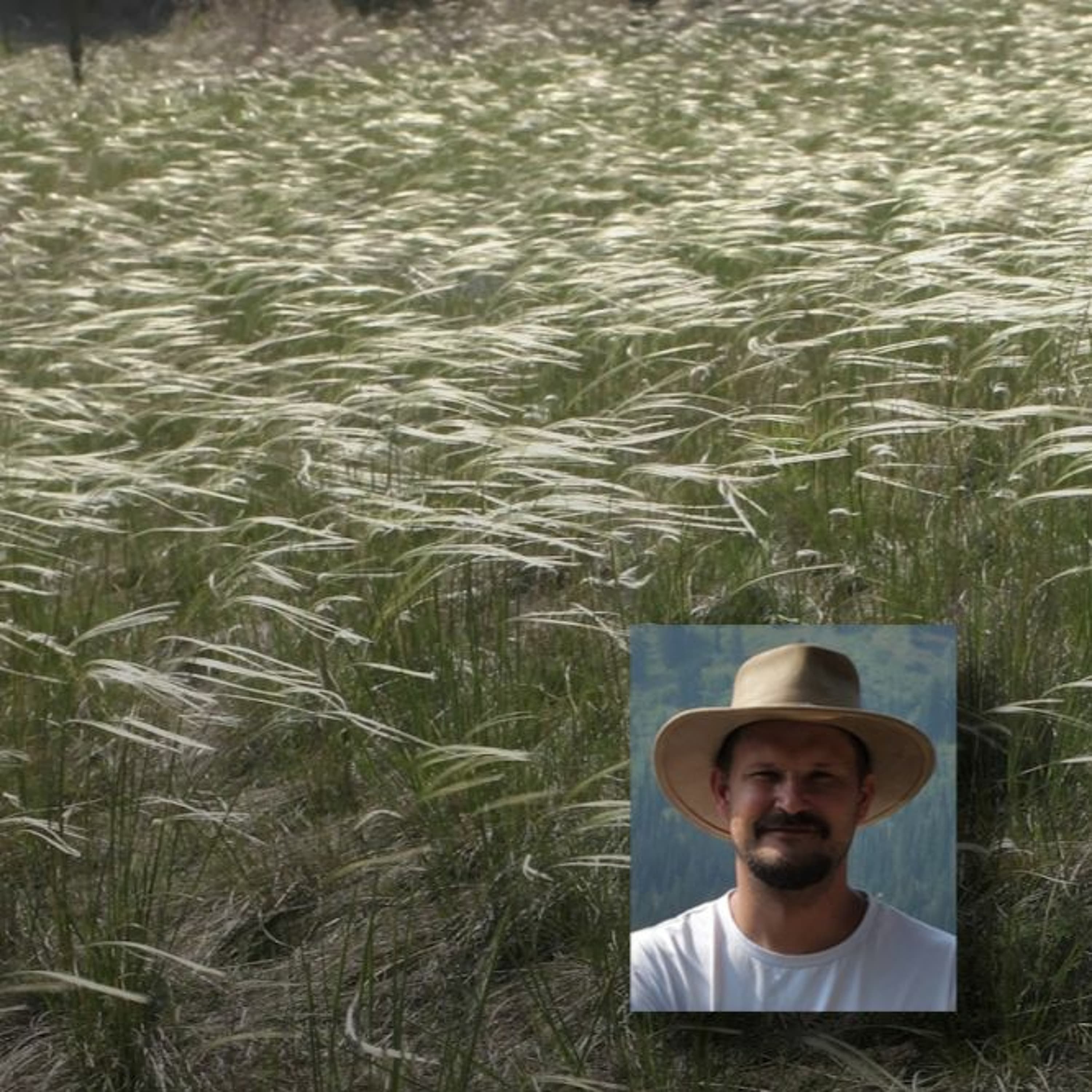 "Csak az a szép zöld gyep..." - beszélgetés Török Péter ökológussal