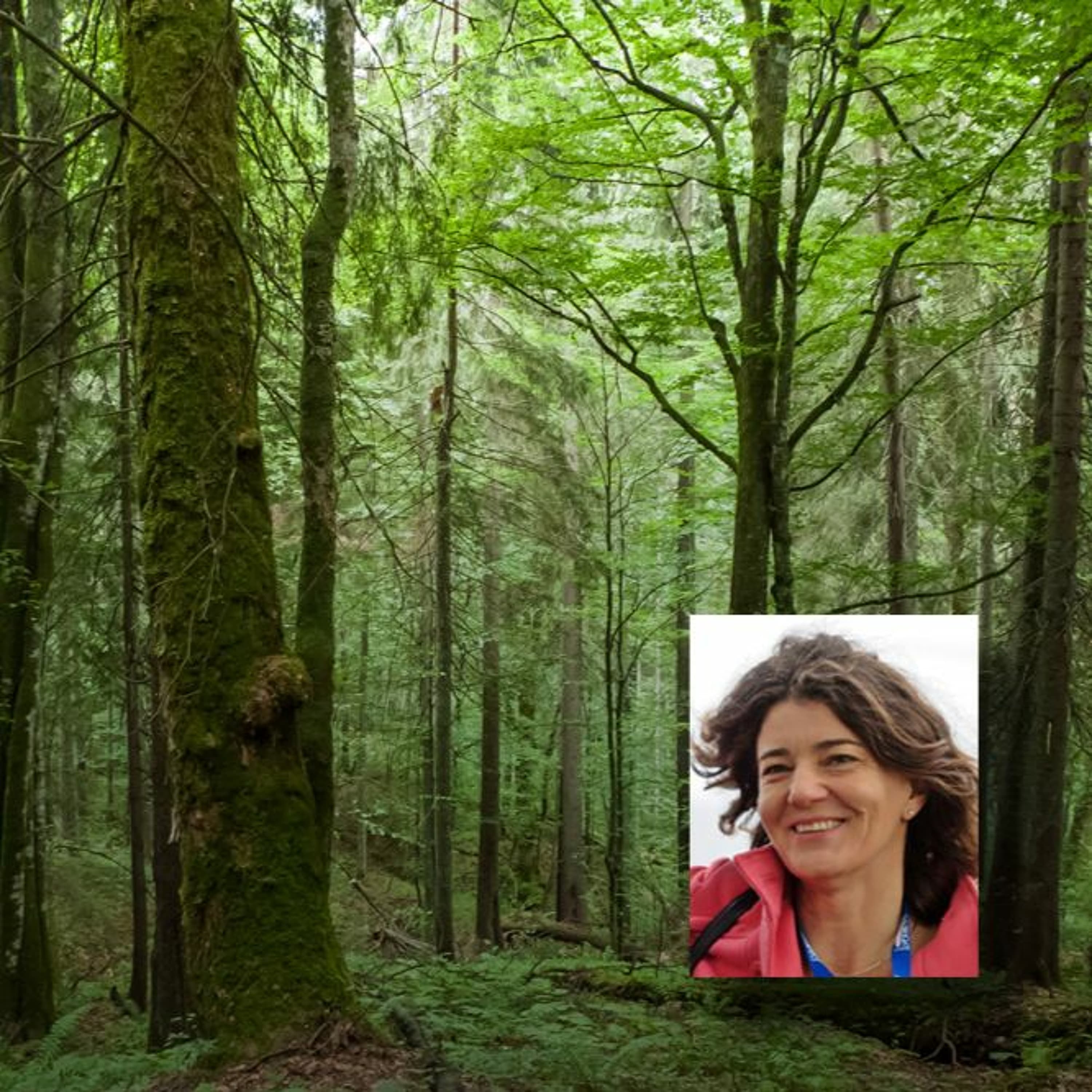 Mennyit ér egy erdő? - beszélgetés Aszalós Rékával