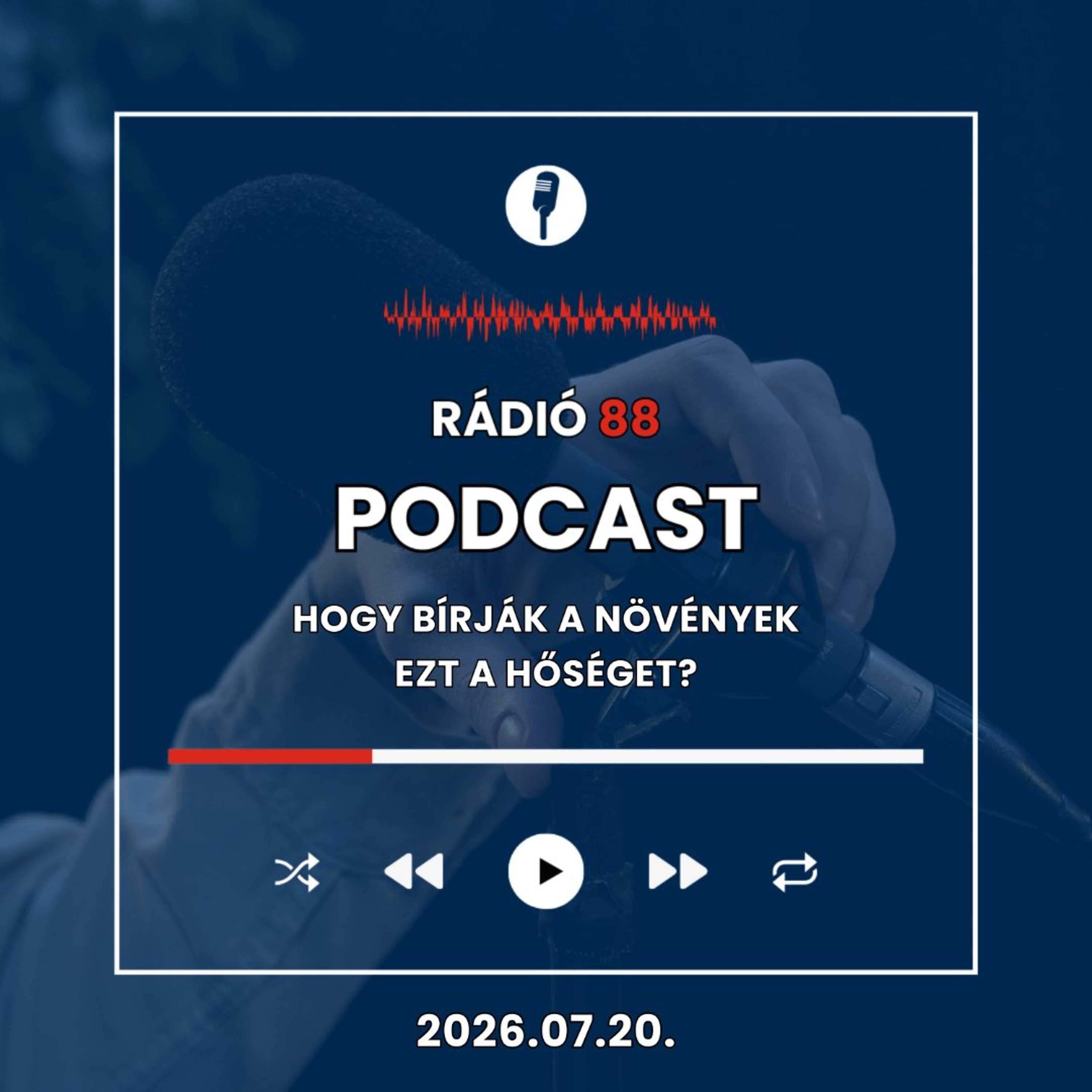 Hogy bírják a növények ezt a hőséget? | Café88 [2026.07.20.]