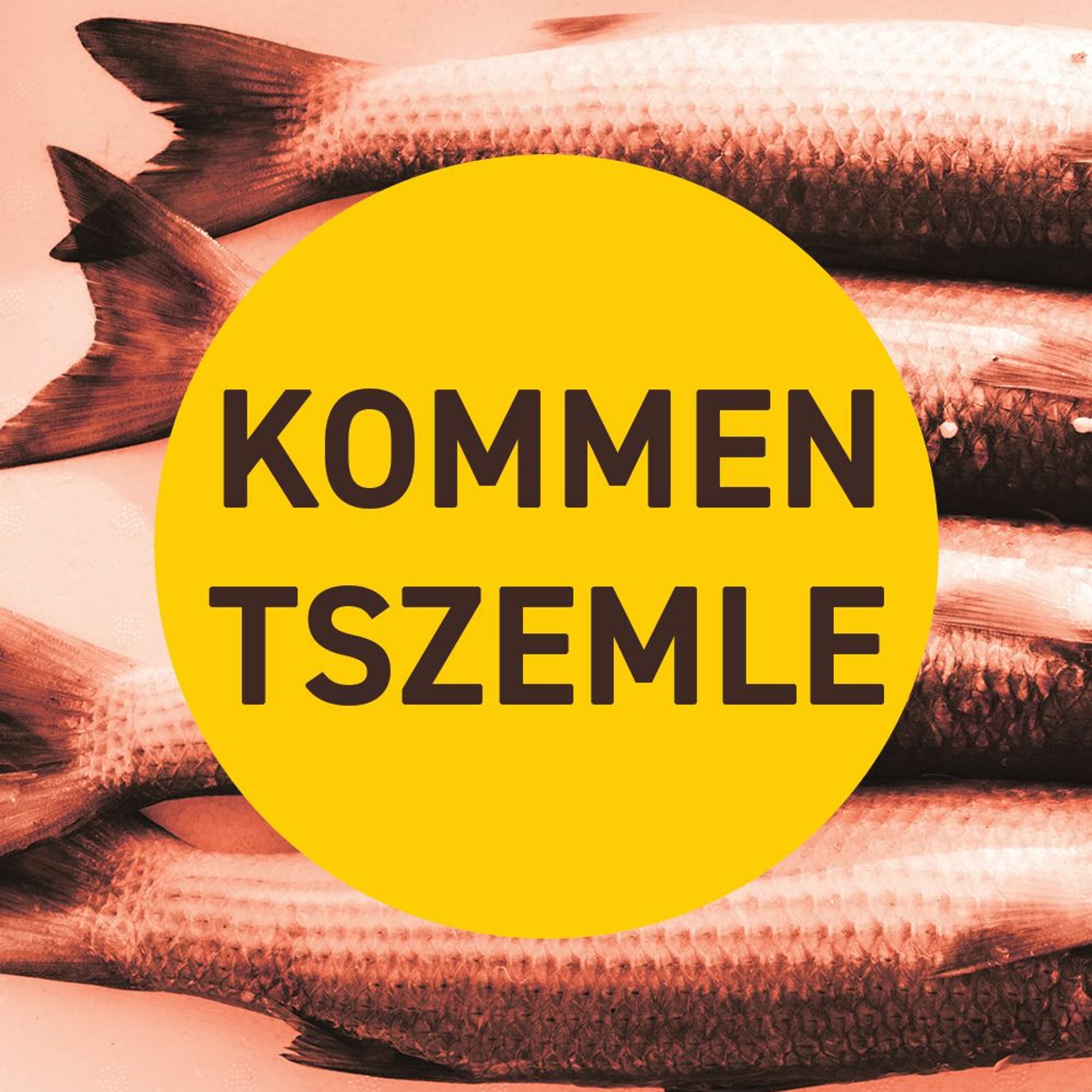 Kommentszemle