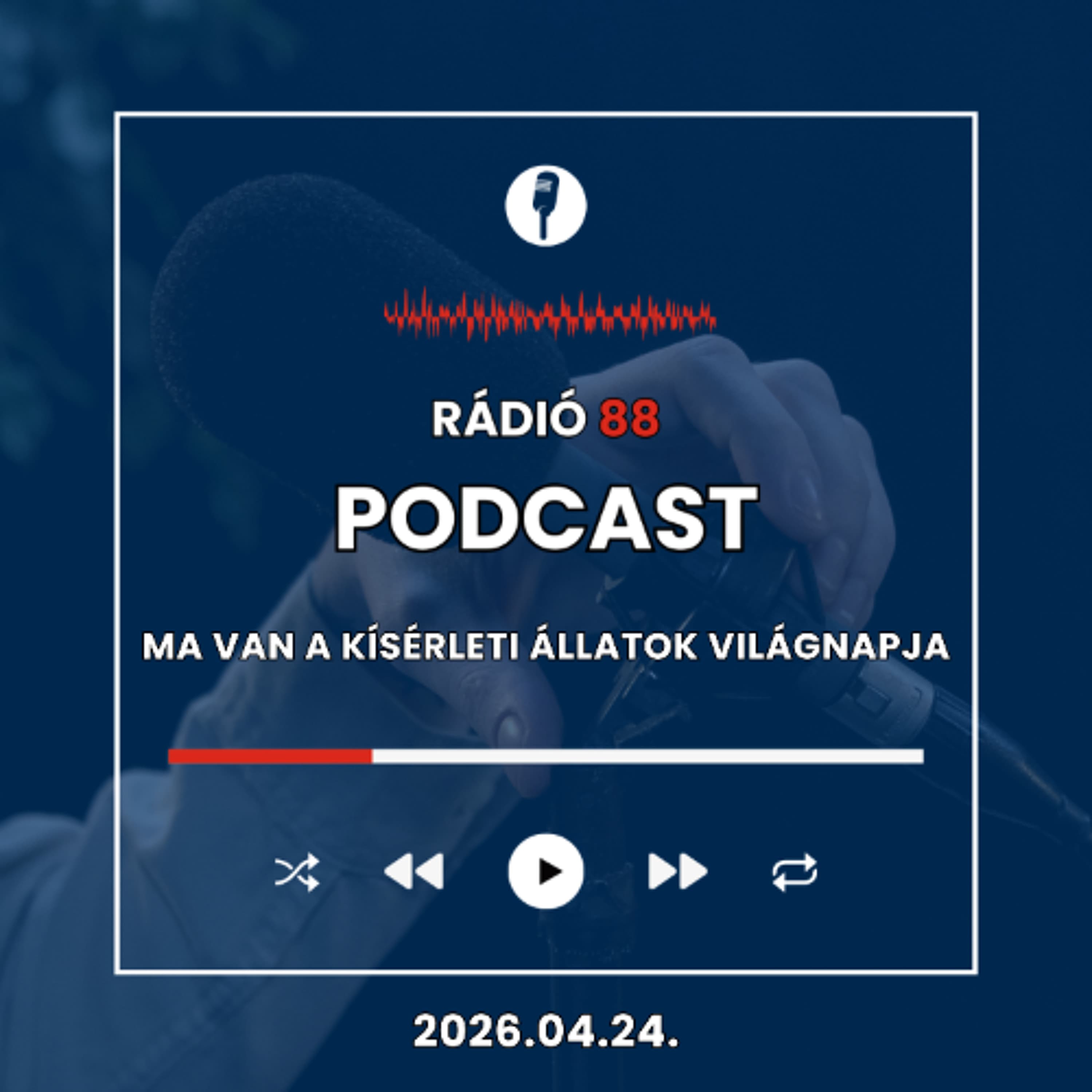Ma van a kísérleti állatok világnapja | Café88 [2026.04.24.]
