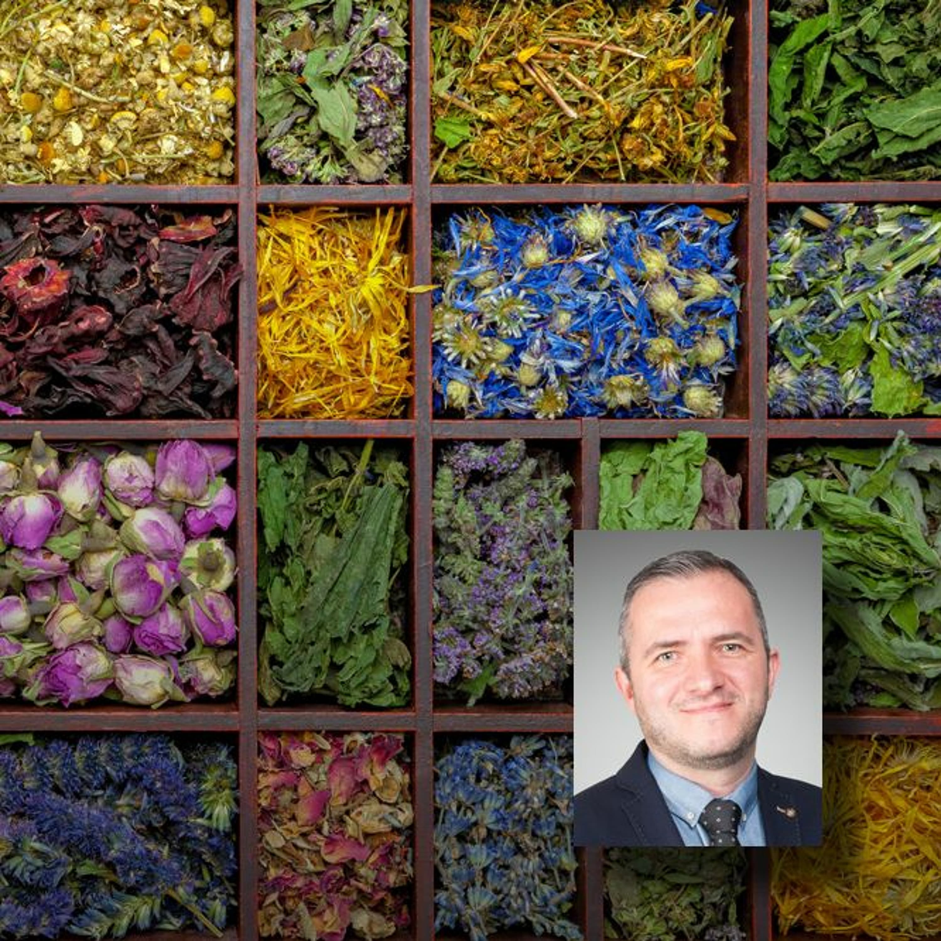 Ködpiszkáló füvesember - beszélgetés Csupor Dezsővel