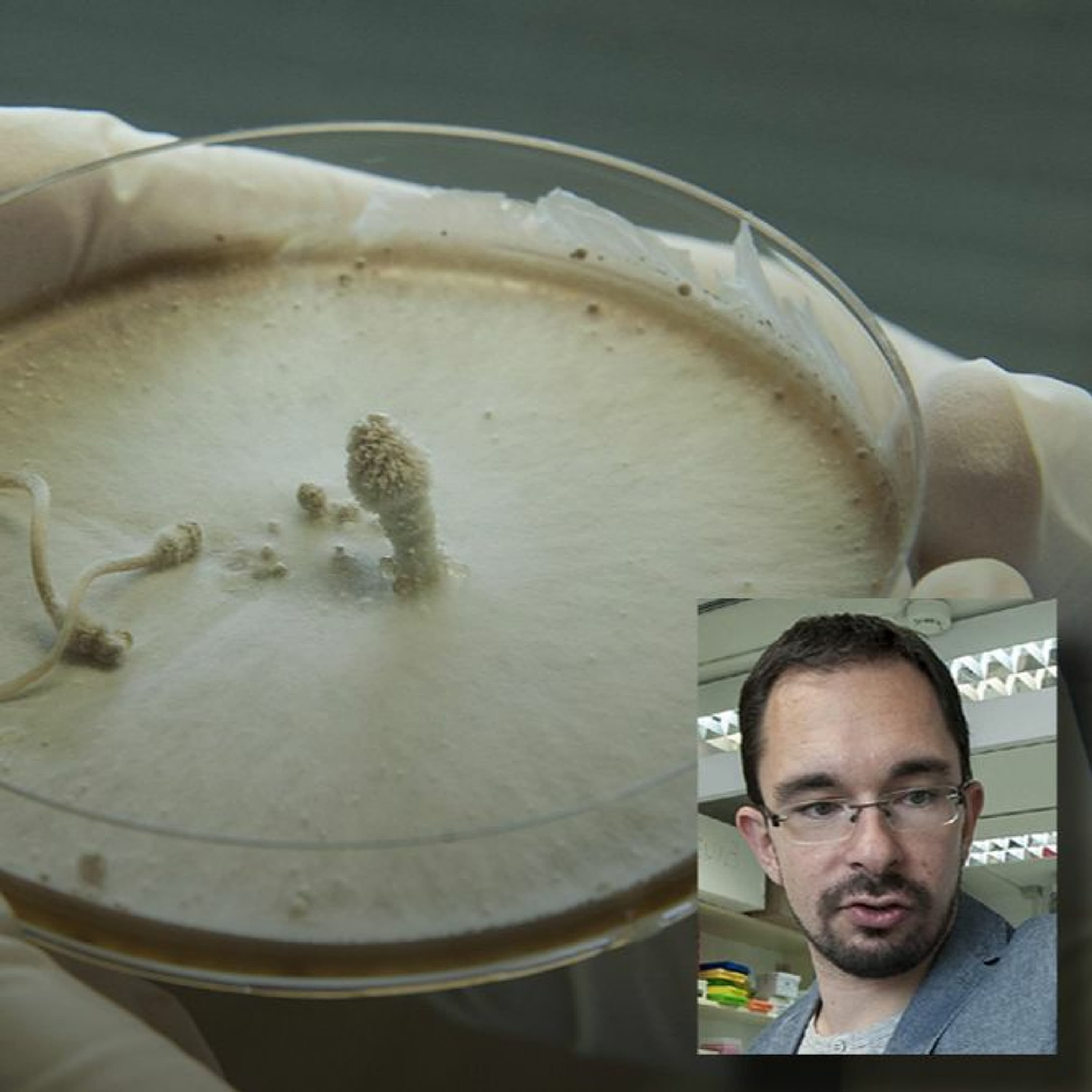 Gombatörténetek - beszélgetés Nagy Lászlóval