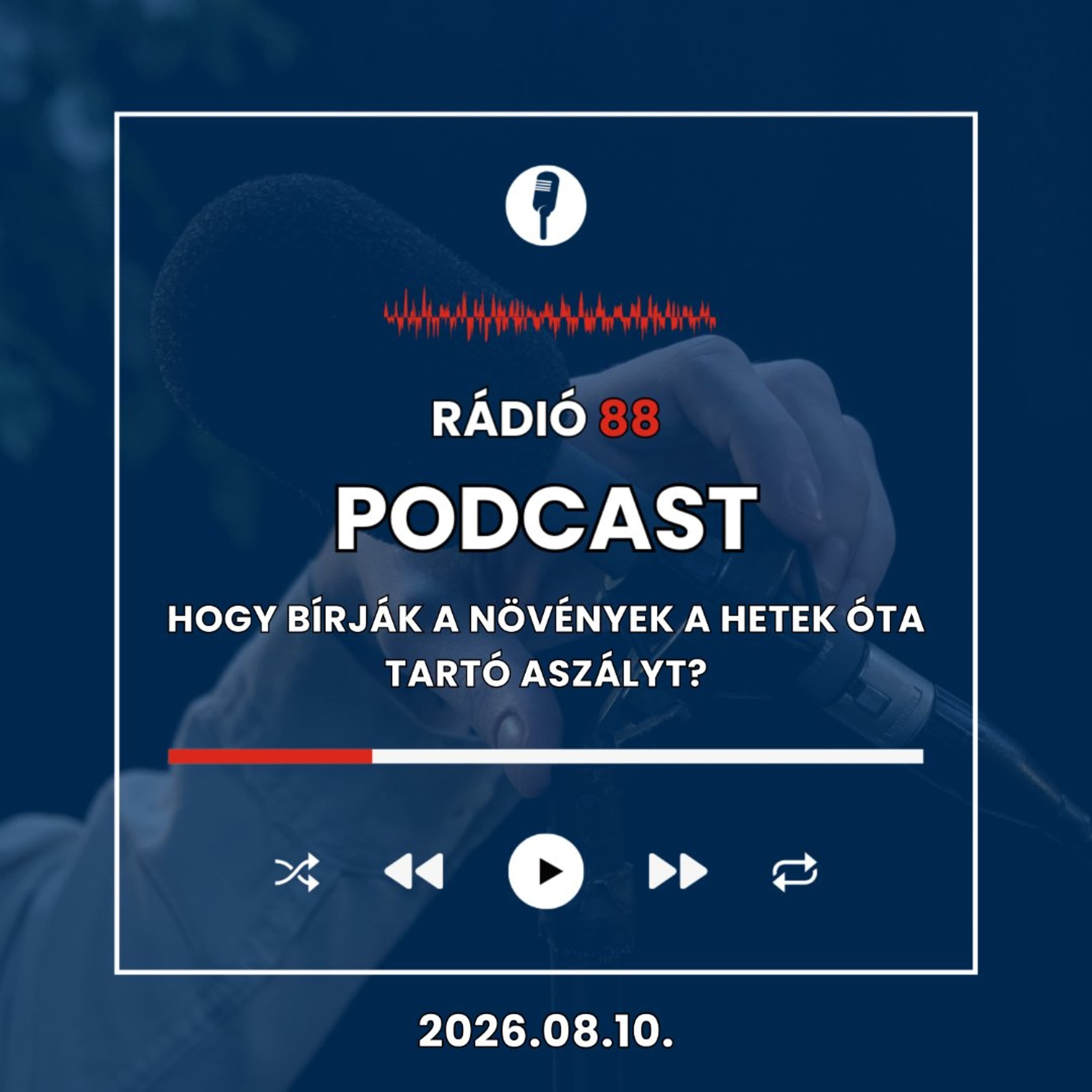 Hogy bírják a növények a hetek óta tartó aszályt? | Café88 [2026.08.10.]