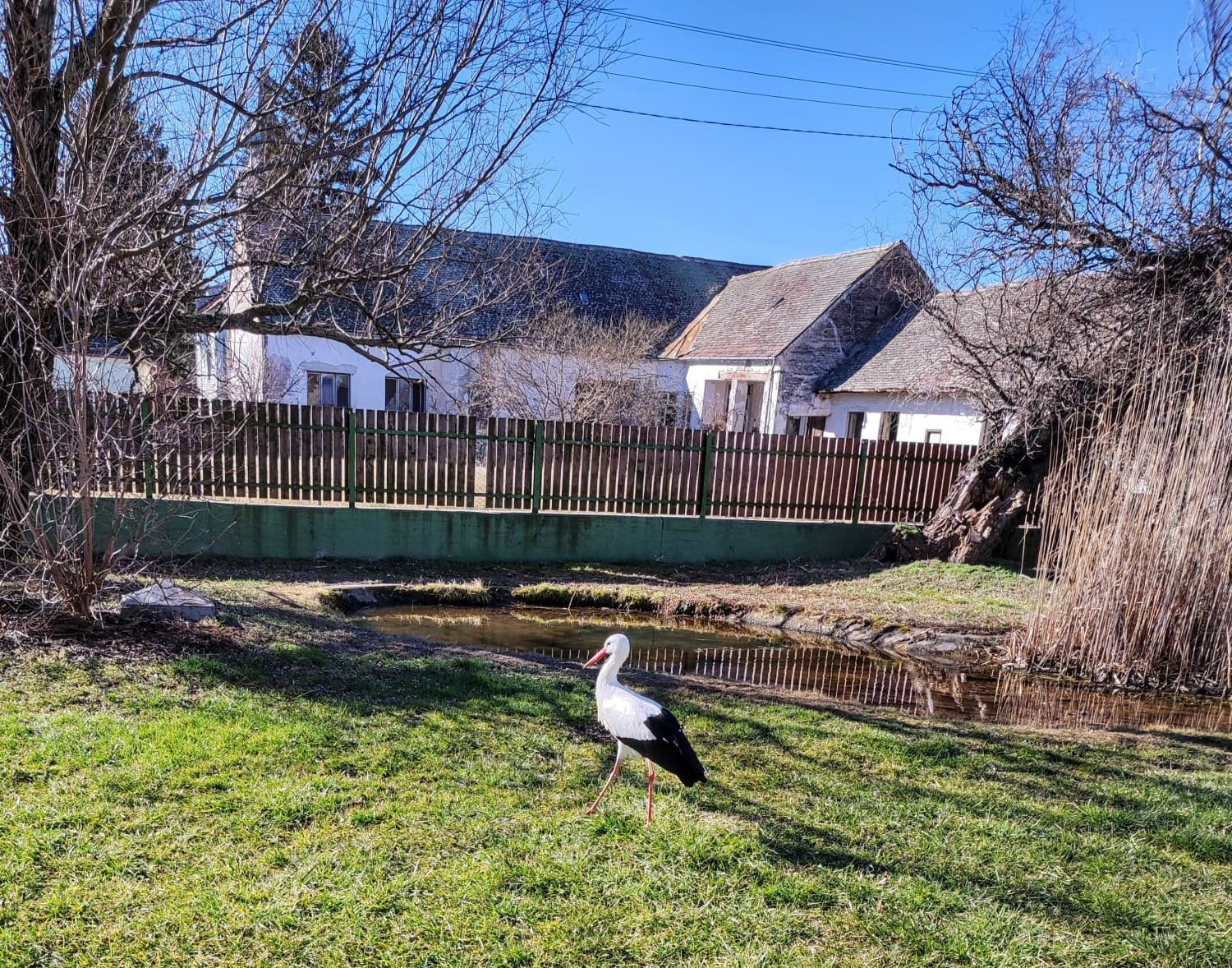 
							 A gólyás falu| Fehérgólya Múzeum, Kölked 
							