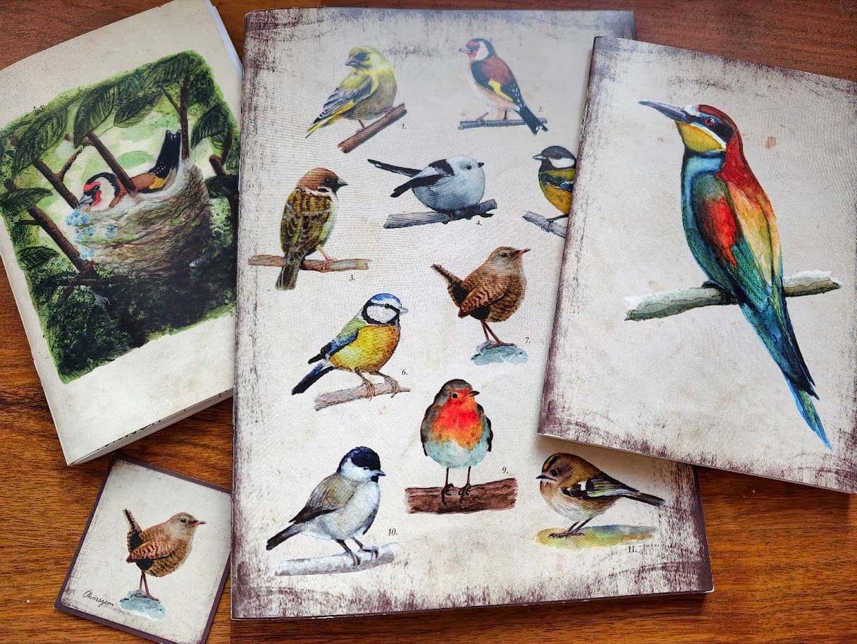 
							 Szolnoki Ágnes madár- és rovarfestő, természet-illusztrátor 
							