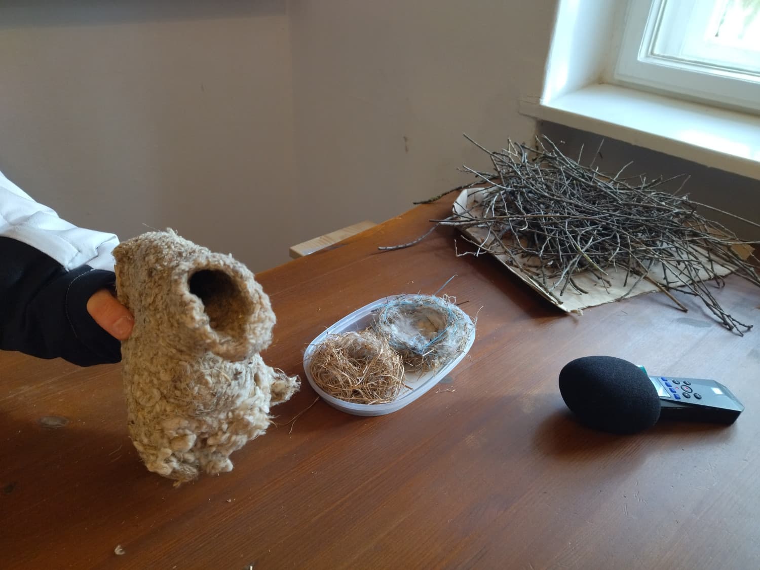 
							 Szatymaz - Kurgán-ház, Sirály tanösvény, Fehér-tó  
							