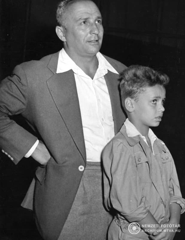 
							 Alfonzó, az örök nevettető  
							