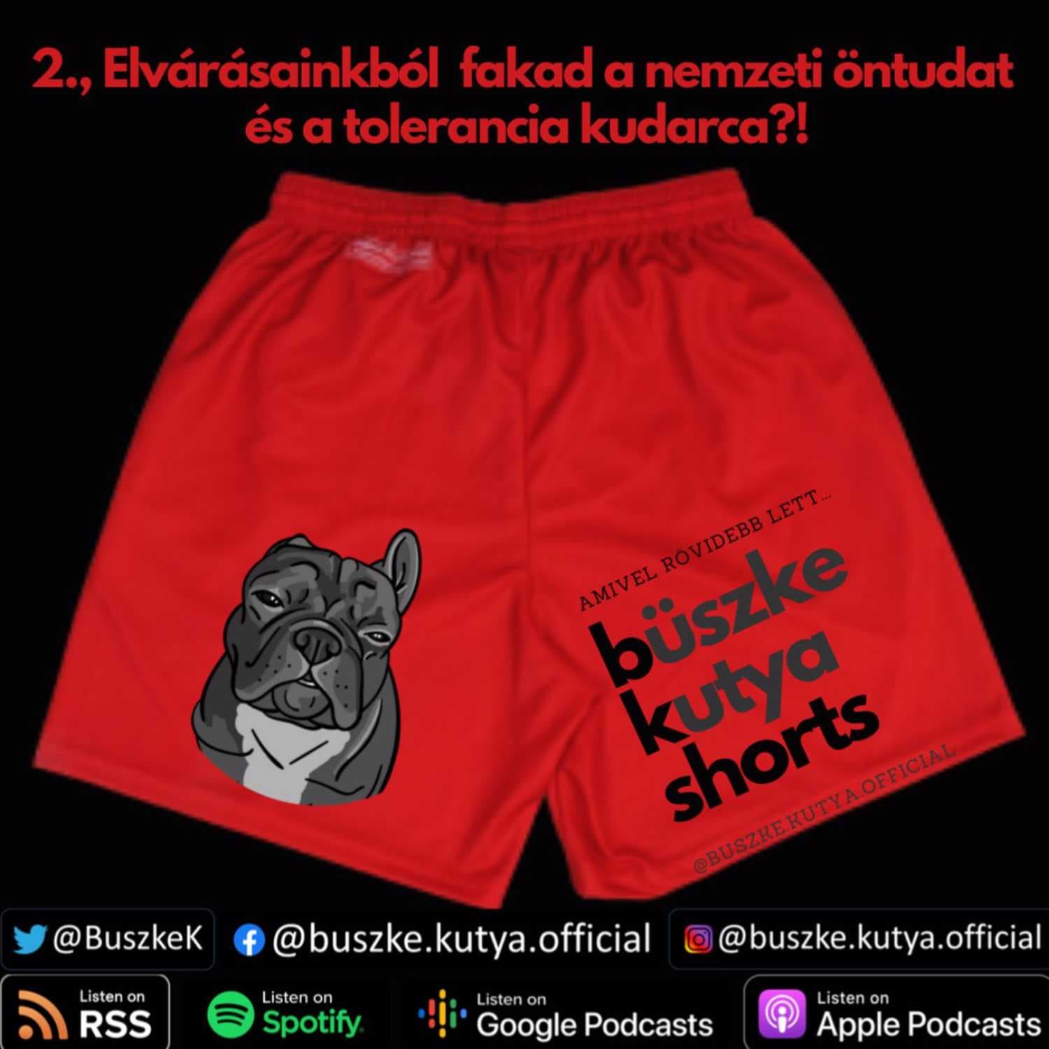 #BüszkeKutyaSHORTS 2.: elvárásainkból fakad a nemzeti öntudat és a tolerancia kudarca?!