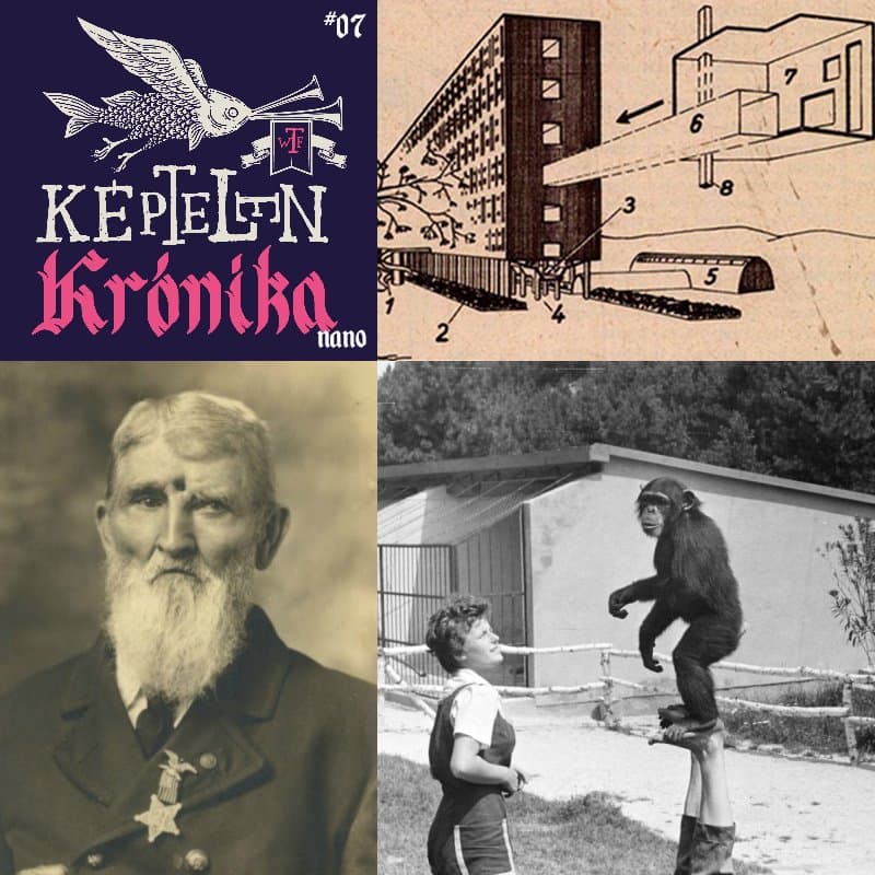 KK Nano #07 – A veszprémi csodamajom, a békásmegyeri házkígyó és az ember, akinek golyó volt a fejében