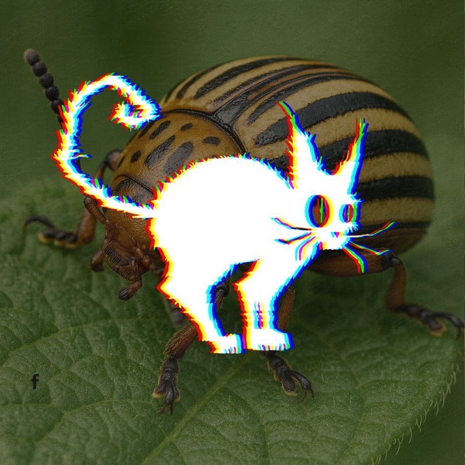 🍟Lézer vs. krumplibogár - Az AI hadjárat kezdete; vendég: GuardenAI | Fekete Technológia #61