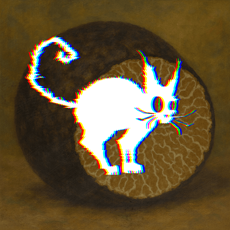 🍄‍🟫"Módszert kell váltani!" Szarvasgomba krízis Magyarországon | Fekete Technológia #66