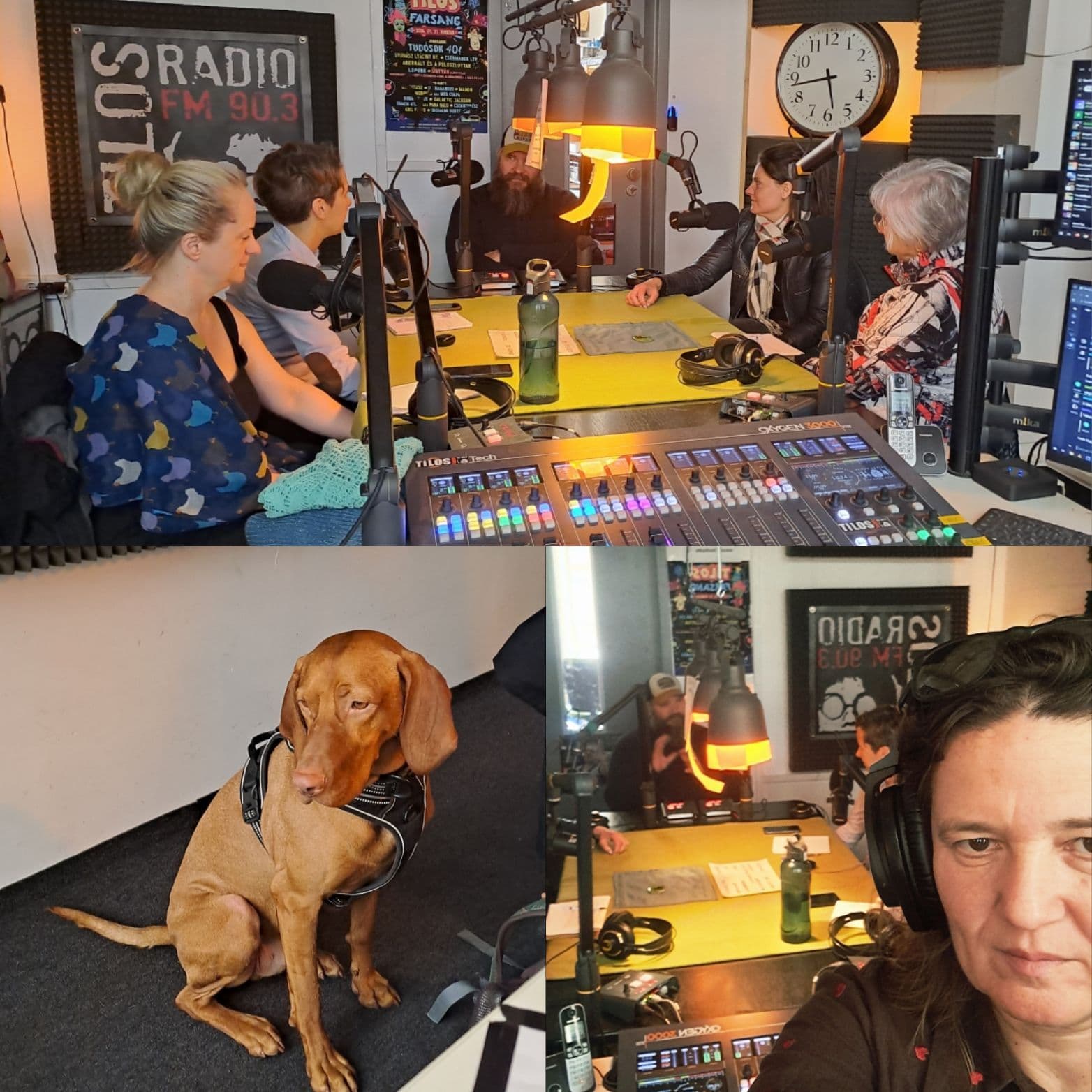 2026.04.01 adásnapló