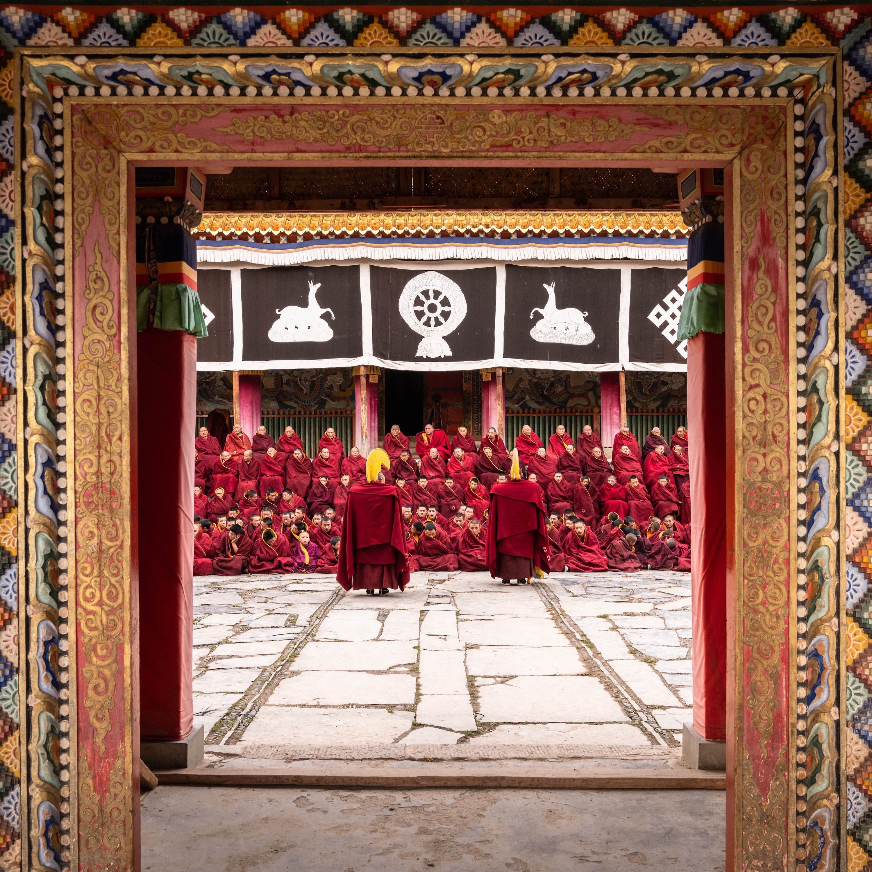 Misi elment hűtőzni - Kelet-Tibetről kutyafuttában