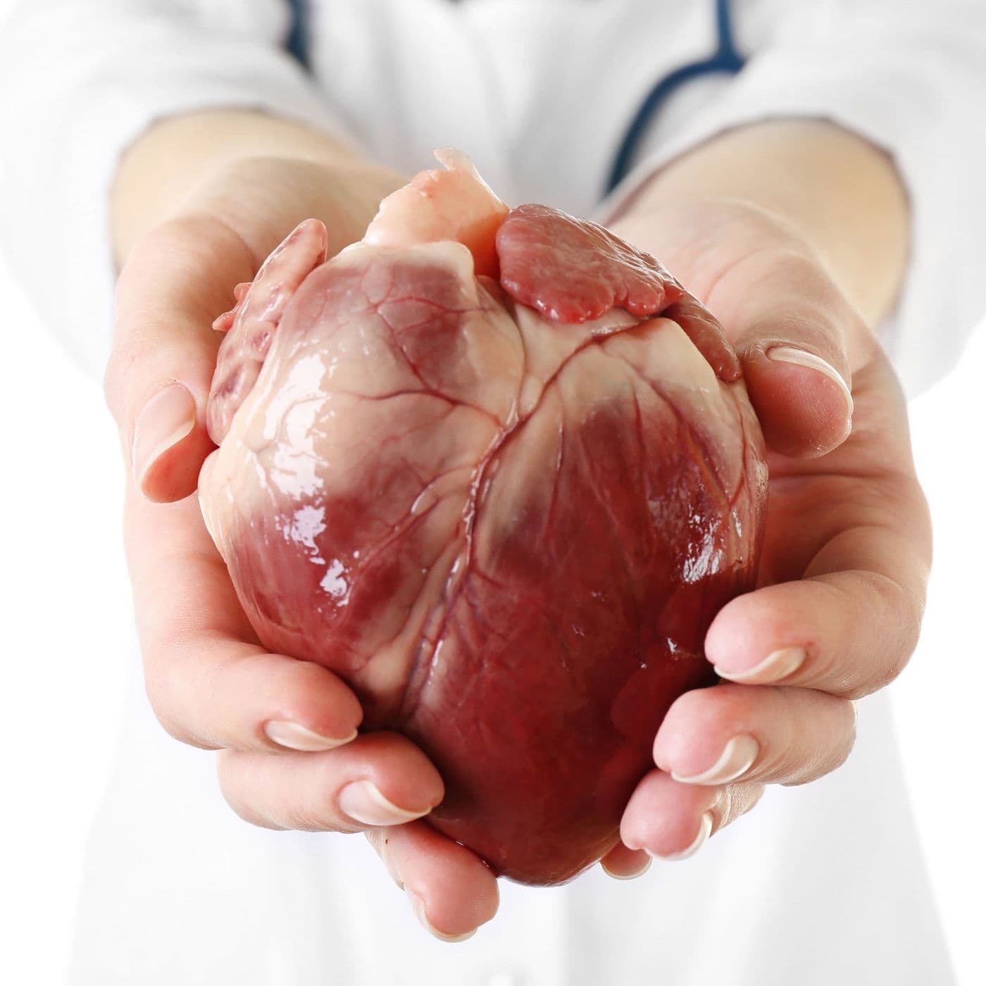 Húsvét ünnepe után 6. vasárnap (Exaudi) - MGyTK