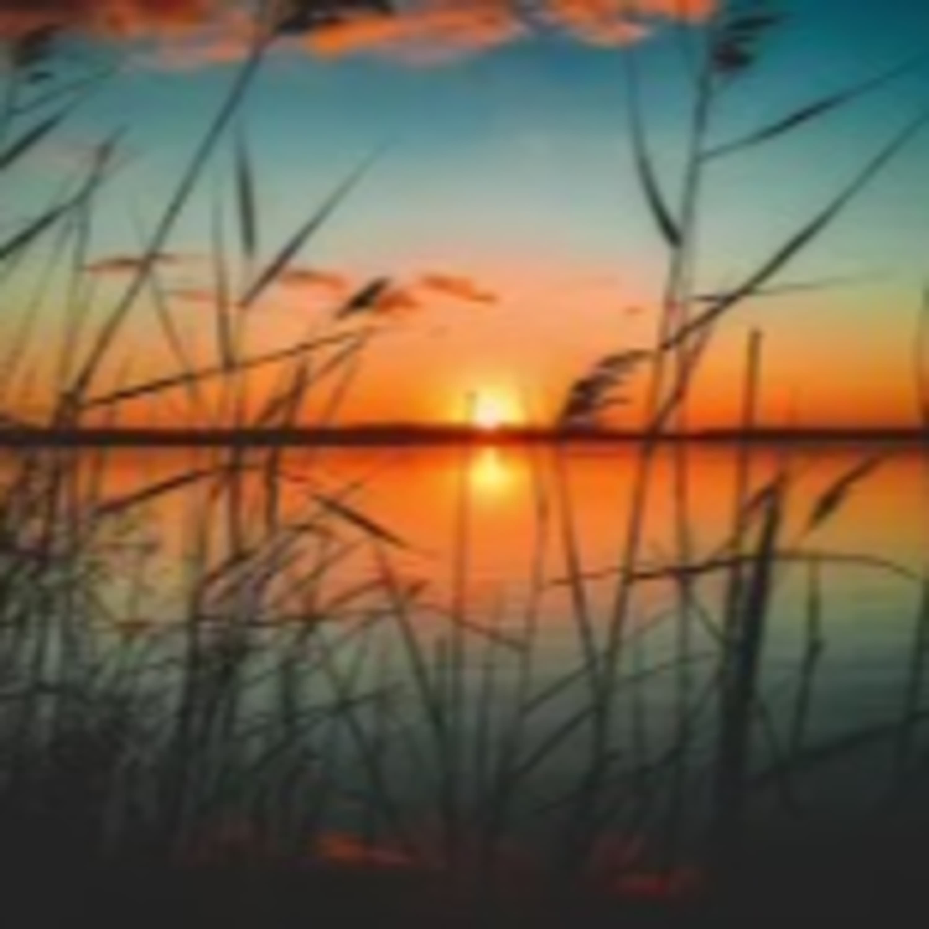 Géczy Gábor Az ember minden gondja megoldódik, ha visszatér a természethez