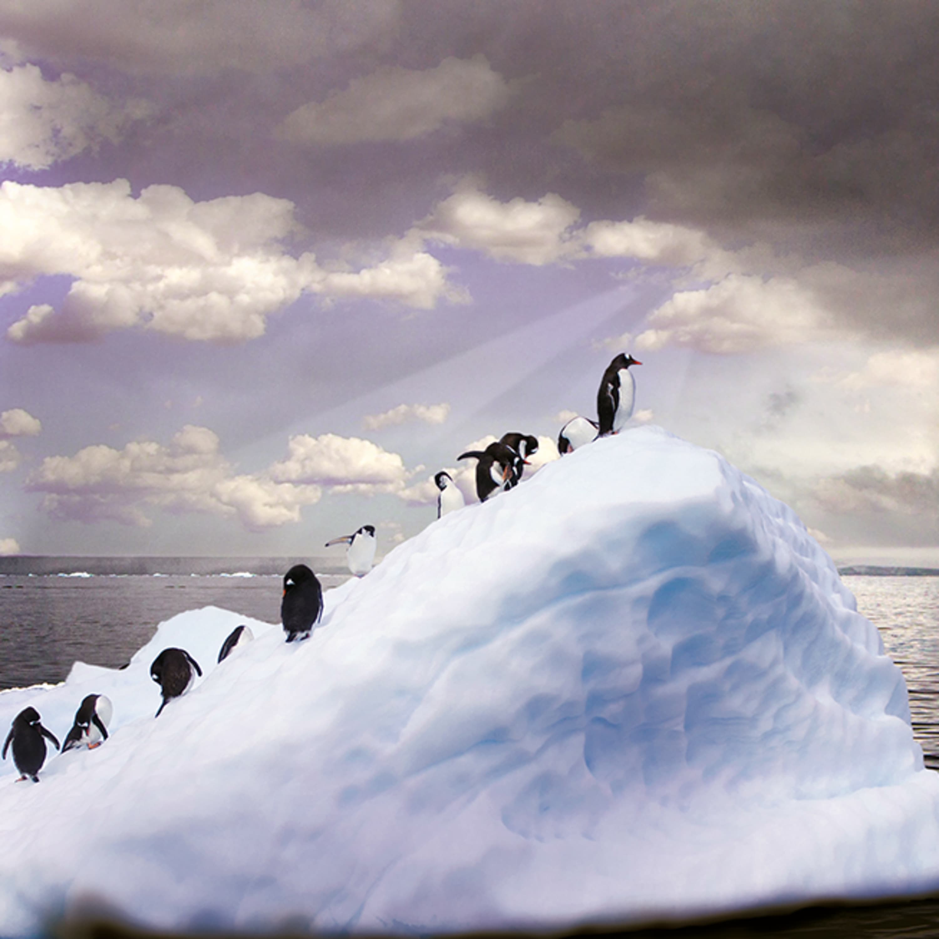 Selyem Zsuzsa - Az első világvége, amit együtt töltöttünk - A tökéletes fotó