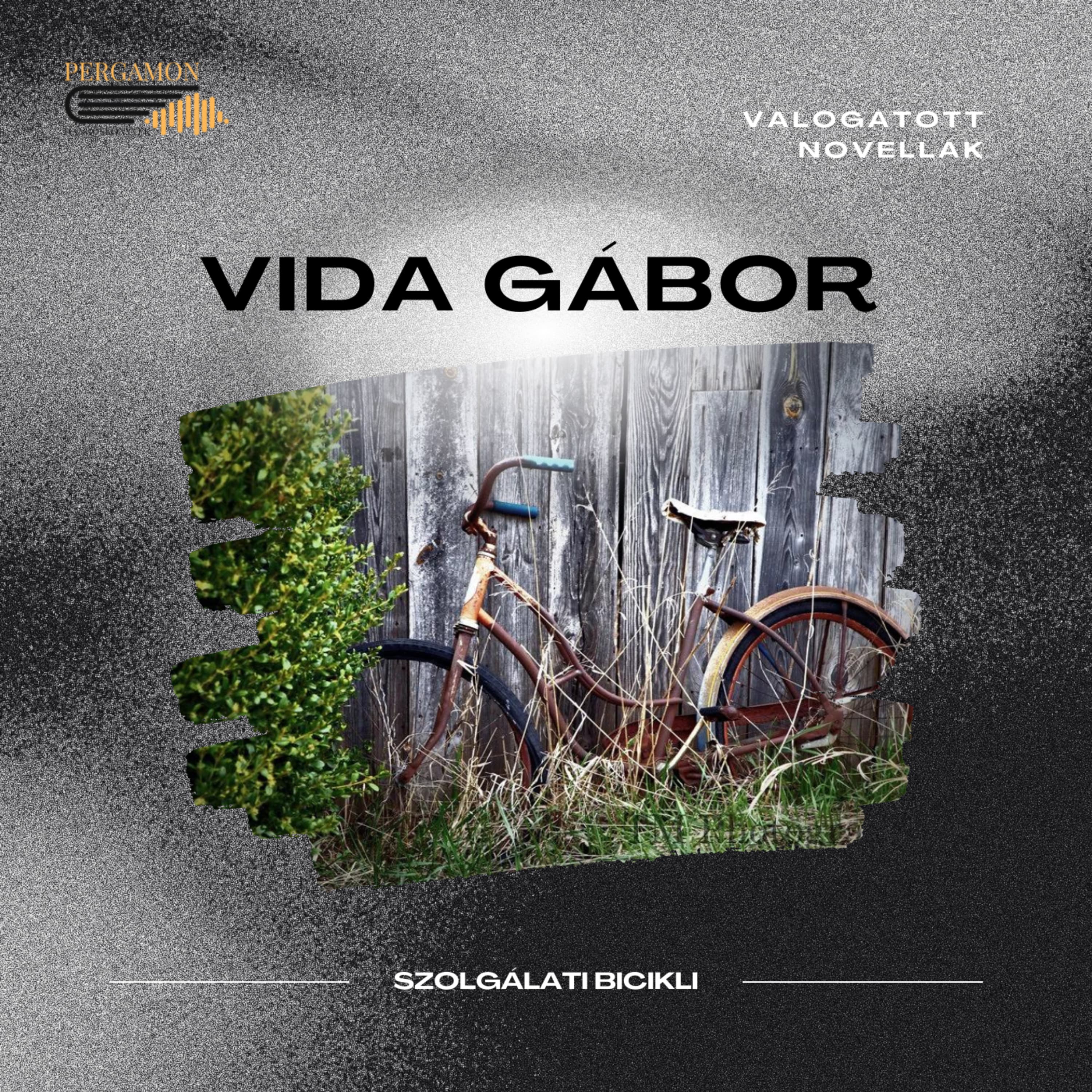 Talált novellák - Vida Gábor - Szolgálati bicikli