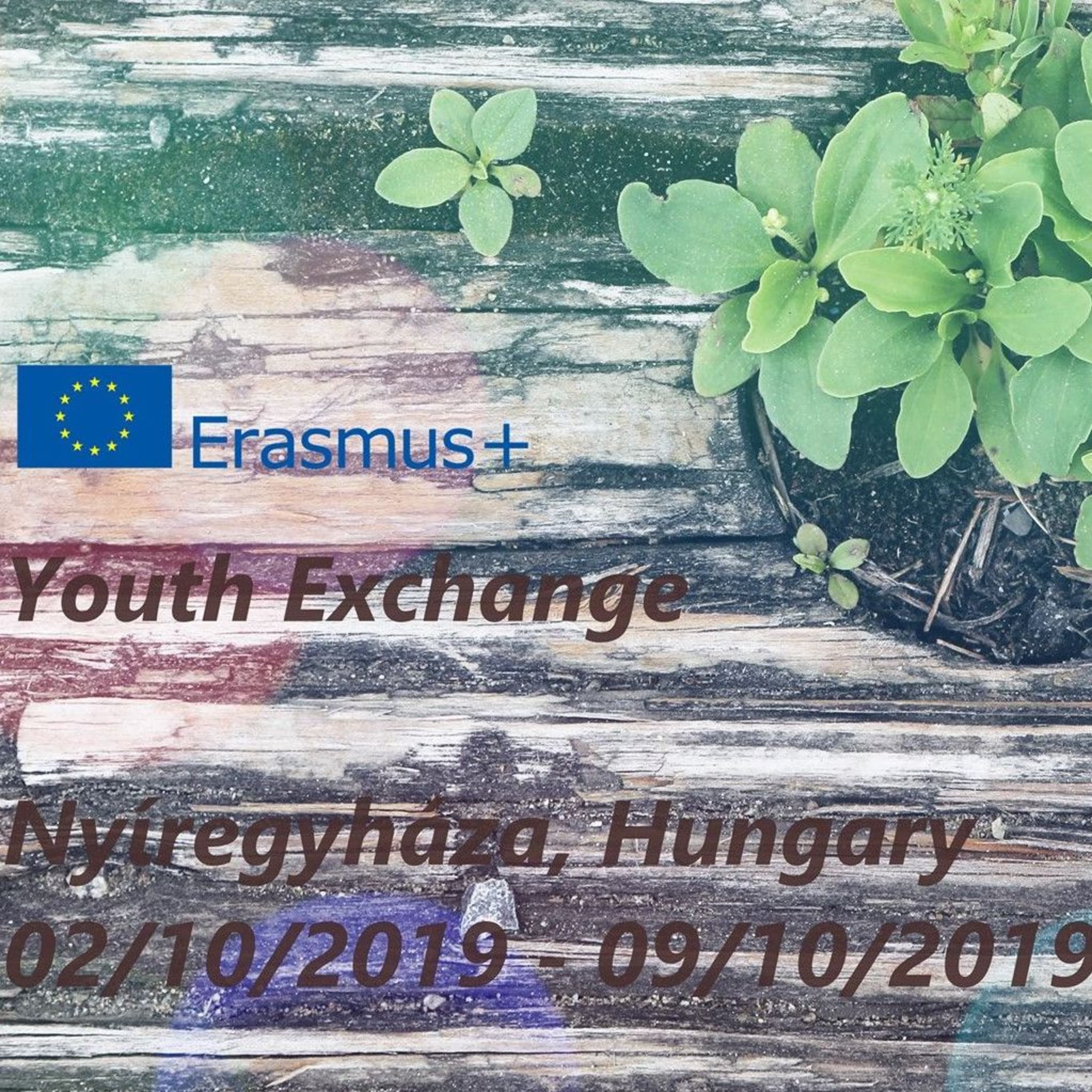 'Green Awareness' - Youth Exchange project in Nyíregyháza
