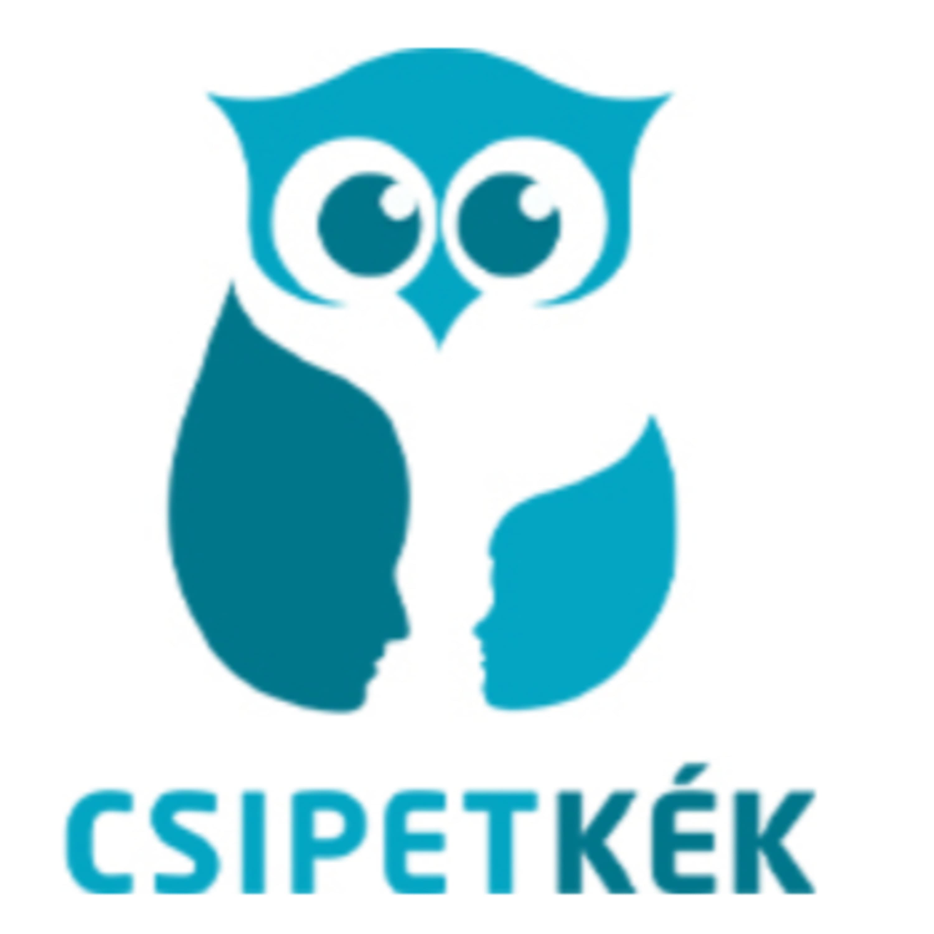 INTERJÚ #1. - Csipetke Drávainé Németh Eszter