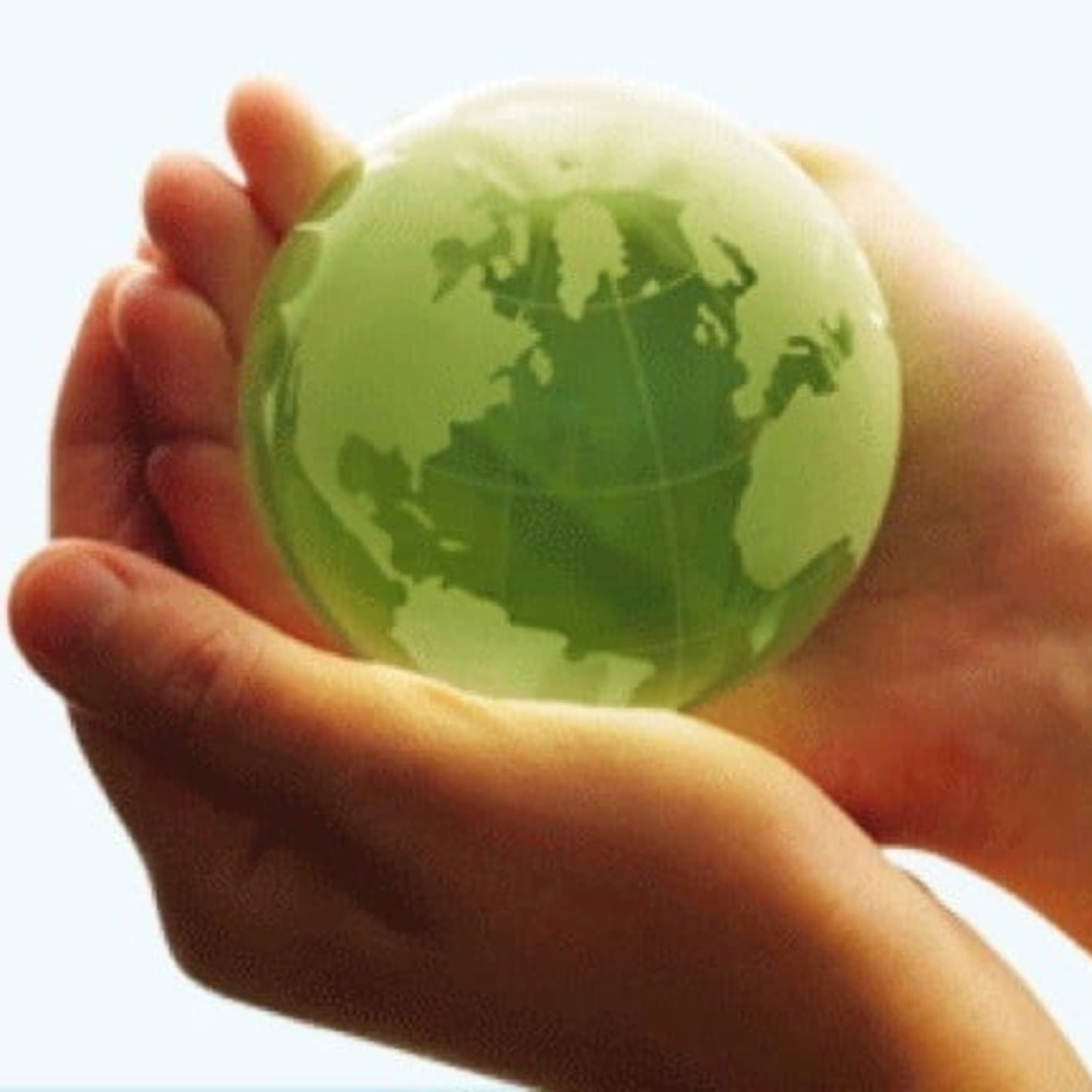 Környezetvédelmi projektbe fogtak a Corvinus Egyetem hallgatói