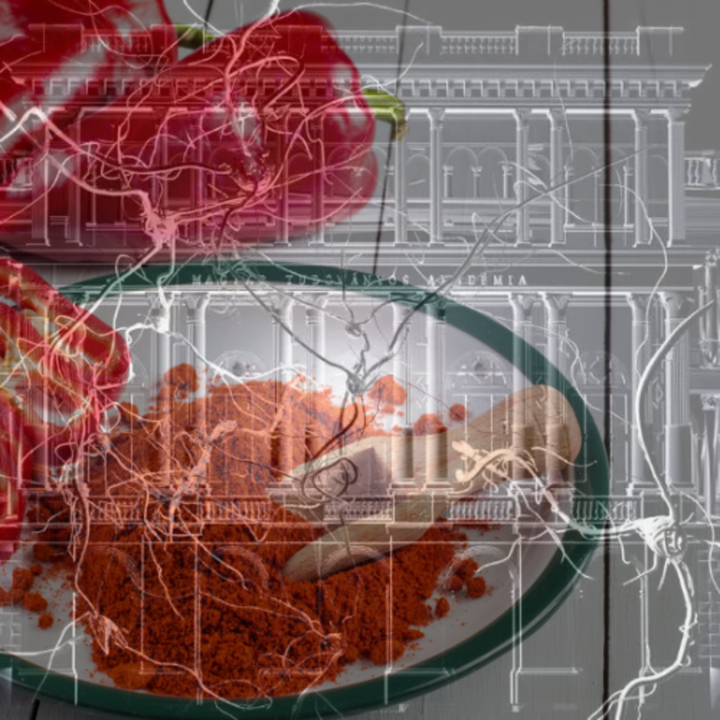 Körbejártuk a pogányborsot, azaz a szegedi paprikasztori