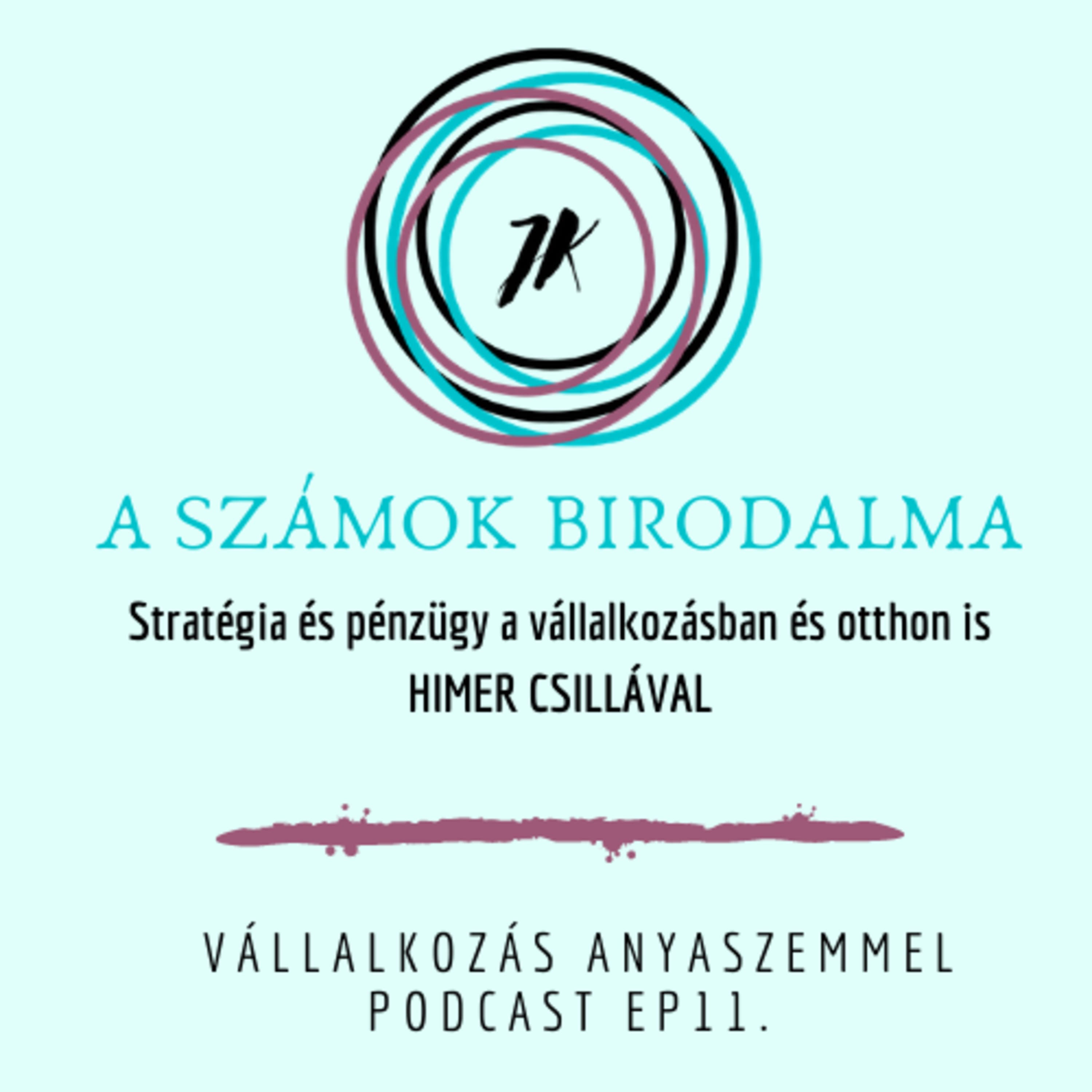Ep. 11. Stratégia És Pénzügyek Himer Csillával