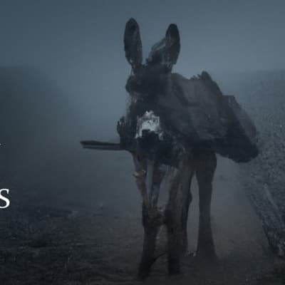 Nyugaton helyzet van, az íreknél szamár