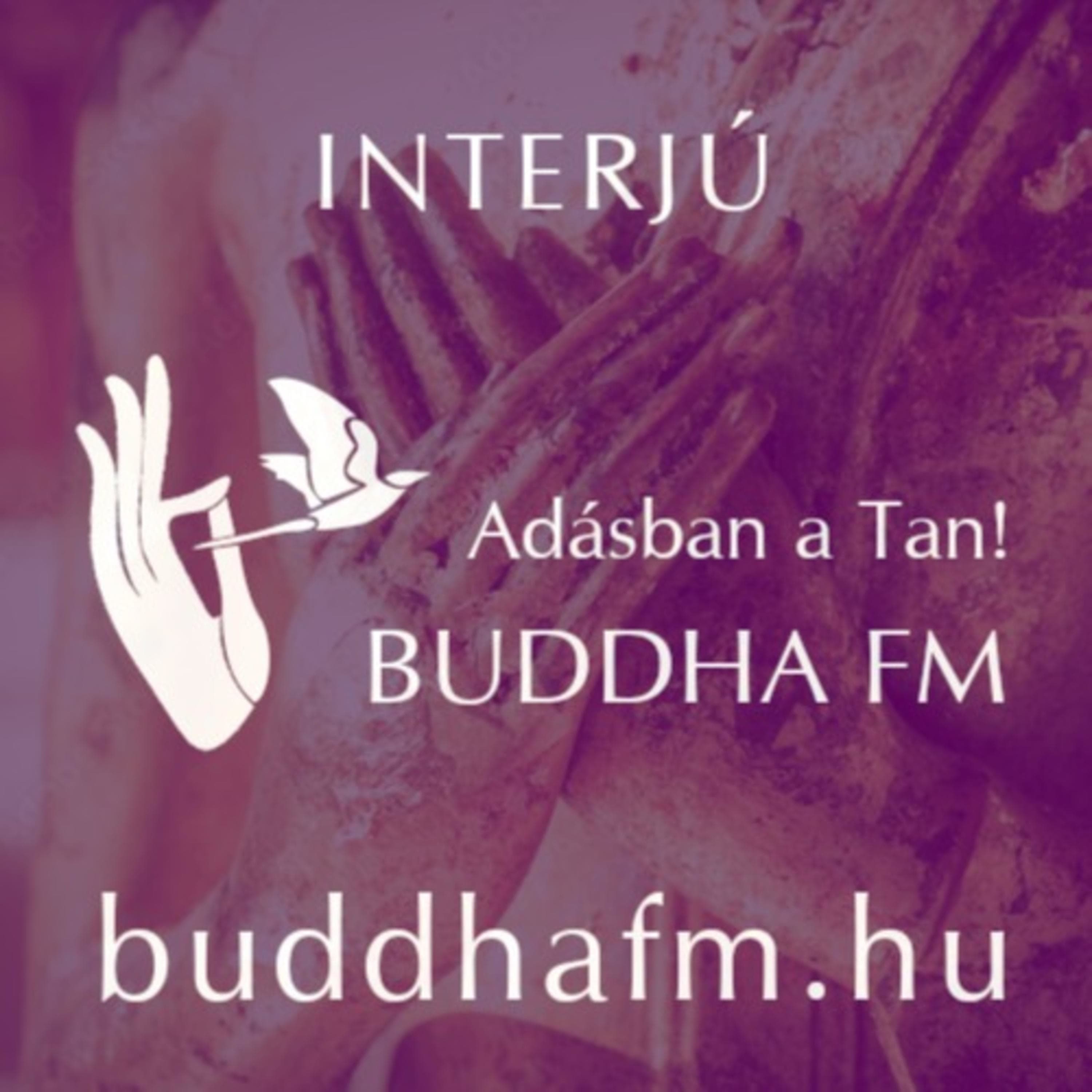 Nem jár rosszul, ha ilyen bölcseket követ