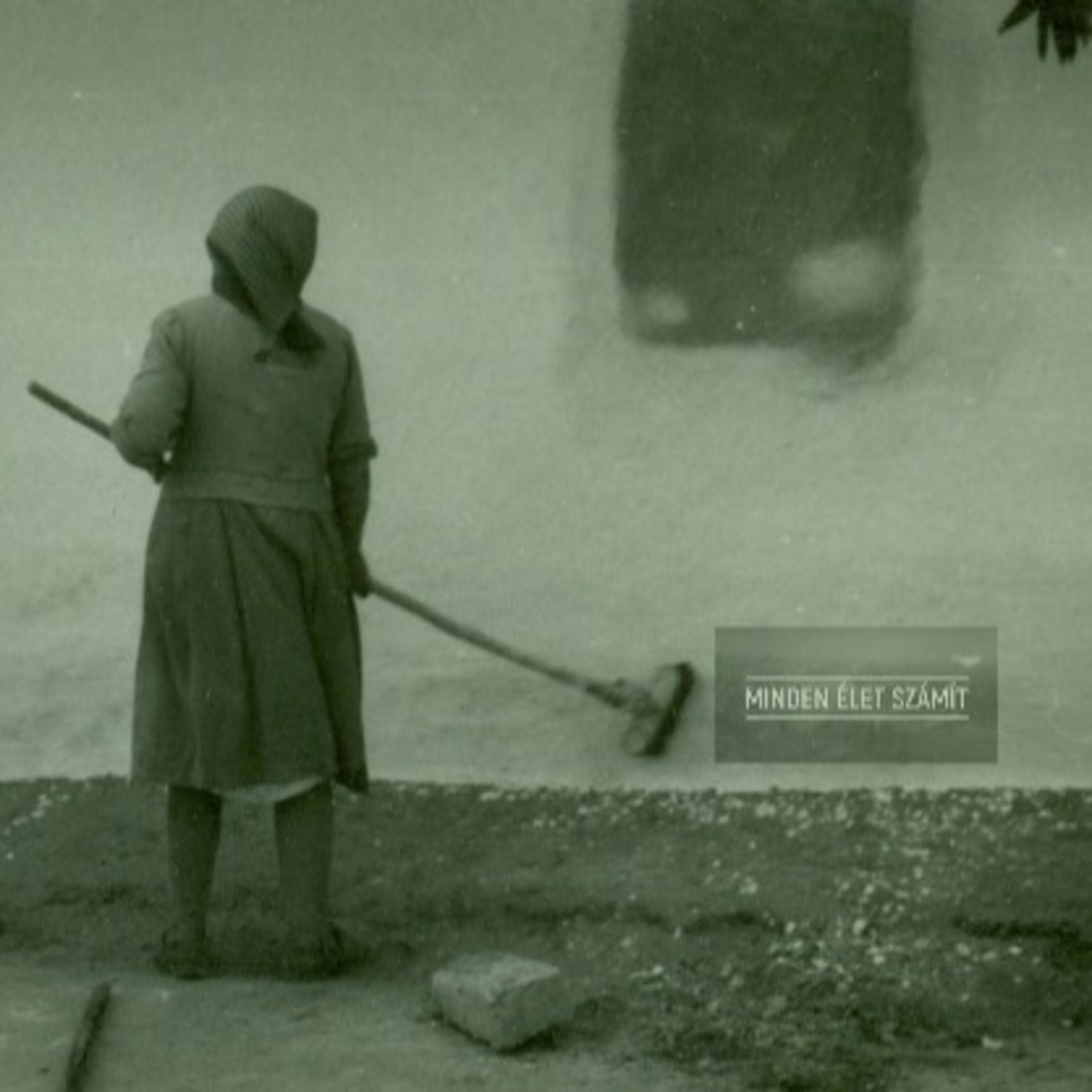 MÉSZ - Minden Élet Számít