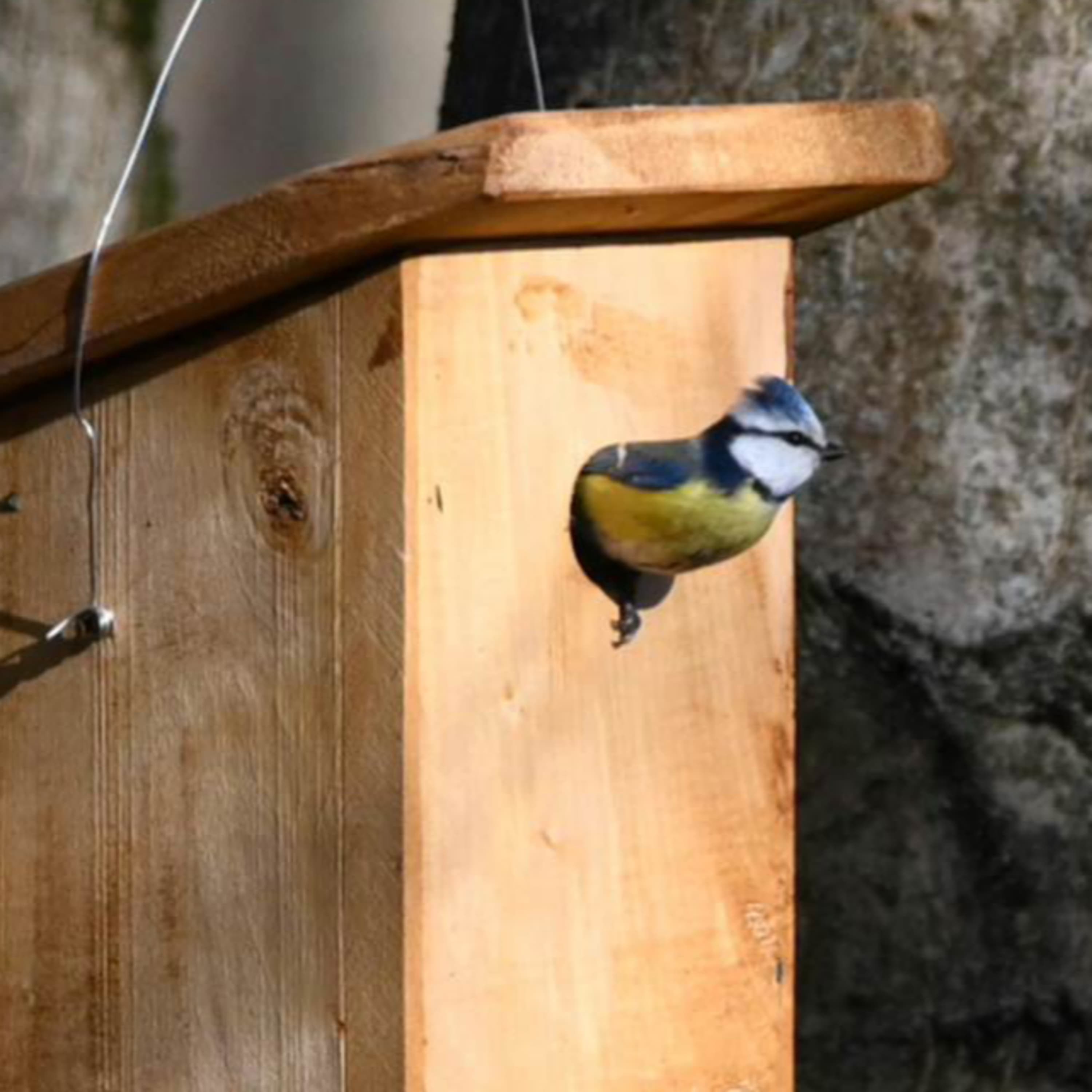 A műtő elromlott, a kútágasok viszont megvannak! – Szeged Podcast 186. – Szeged.hu – 24.03.01.