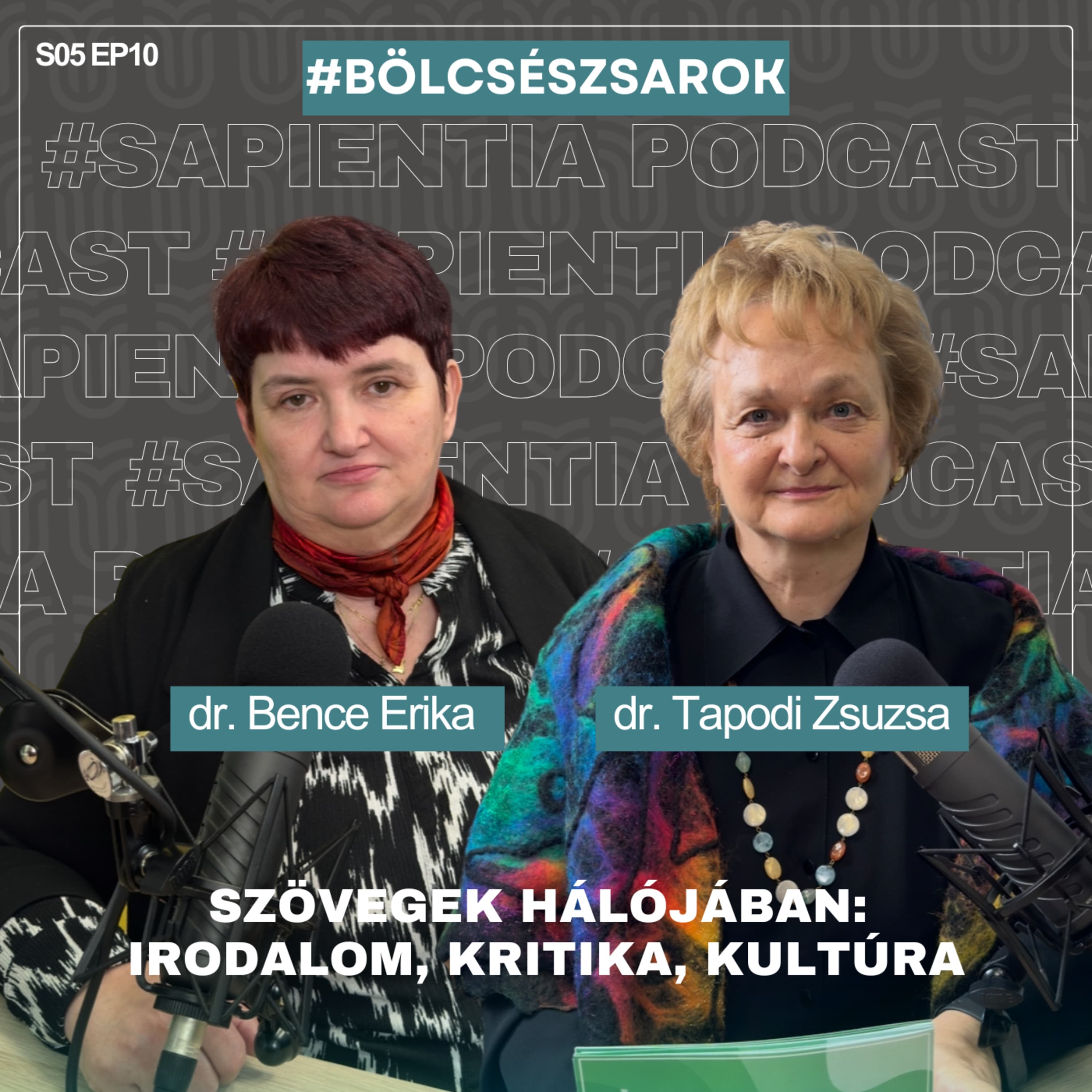 Szövegek hálójában: Irodalom, kritika, kultúra