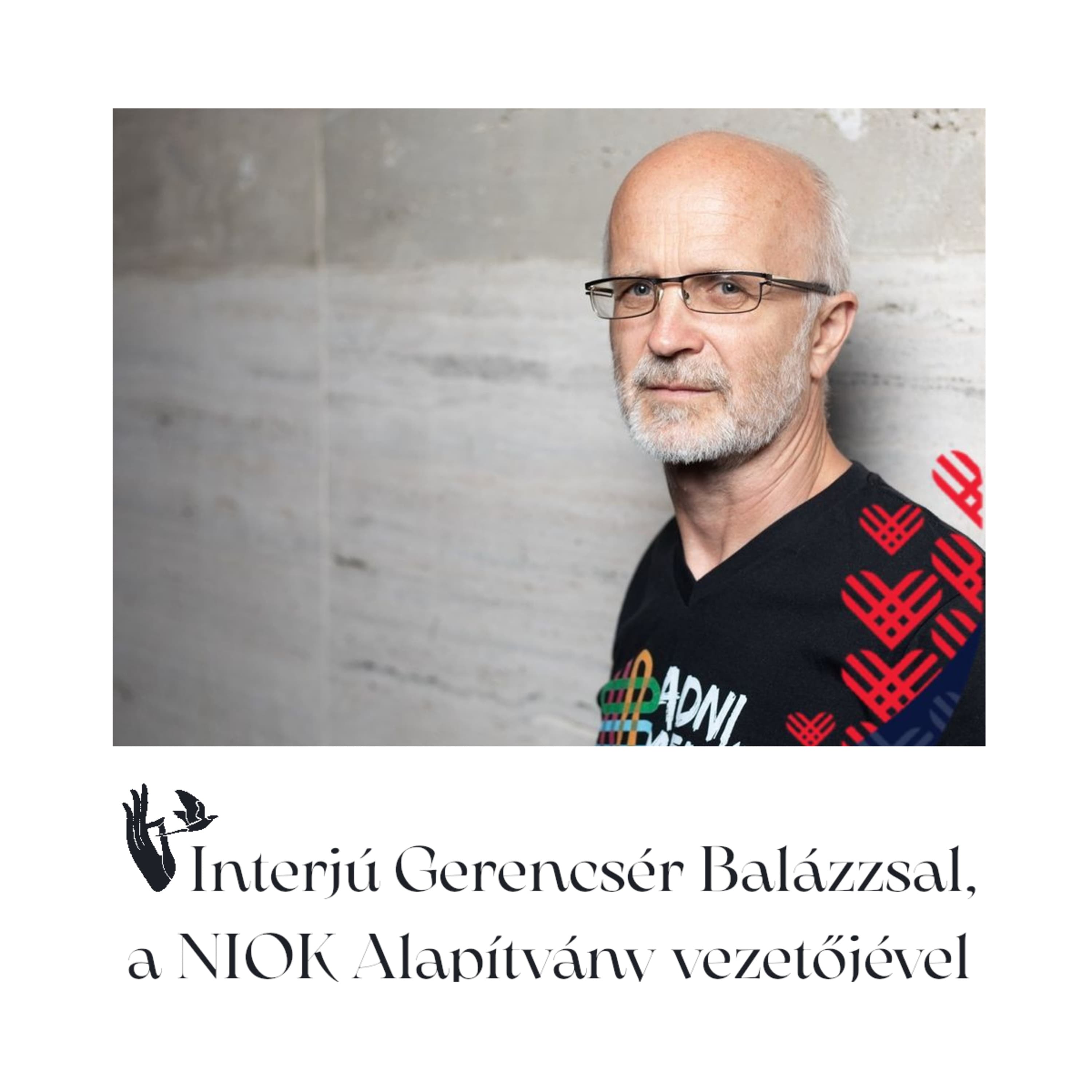 Interjú Gerencsér Balázzsal, a NIOK Alapítvány vezetőjével