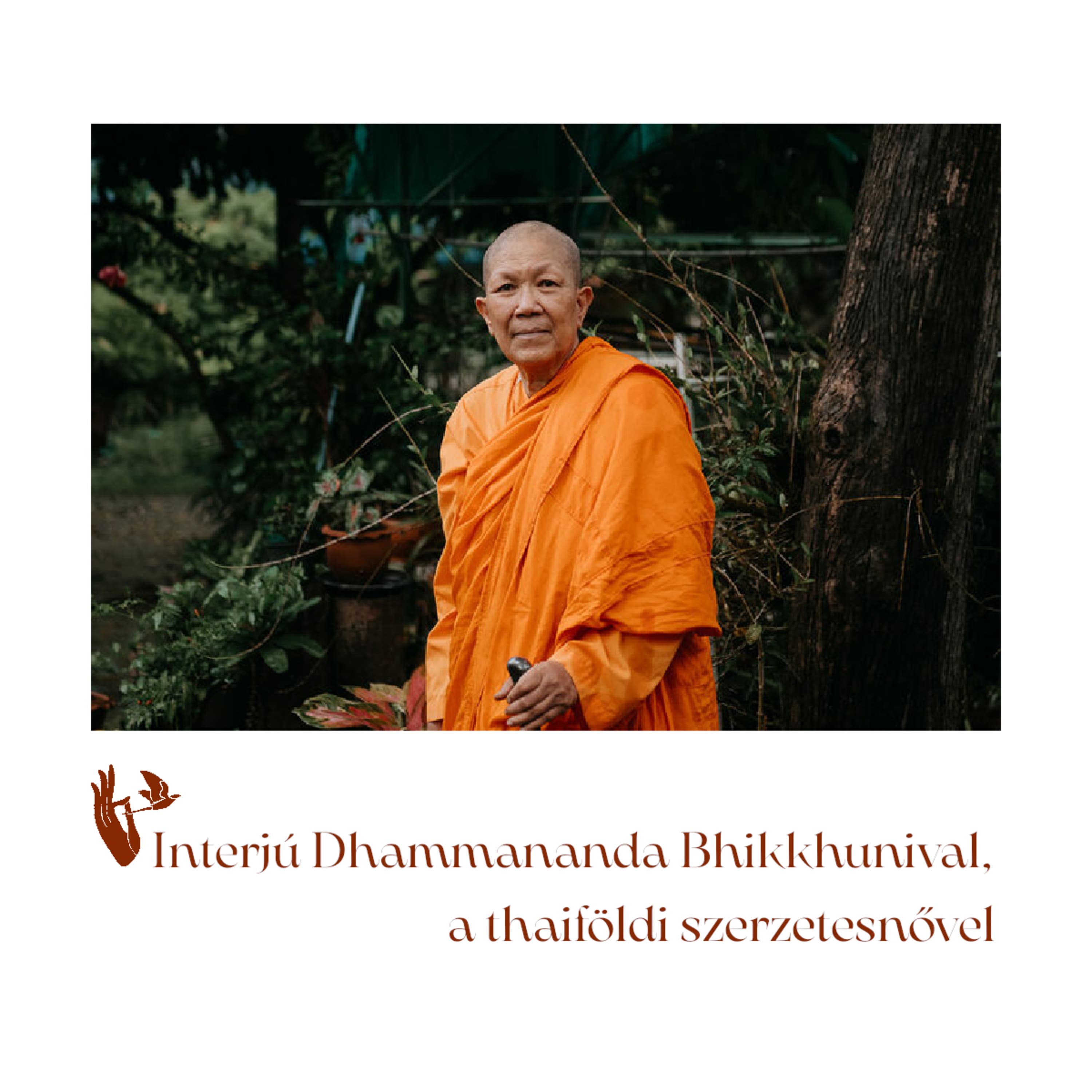 Interjú a Tiszteletreméltó Dhammánanda szerzetesnővel
