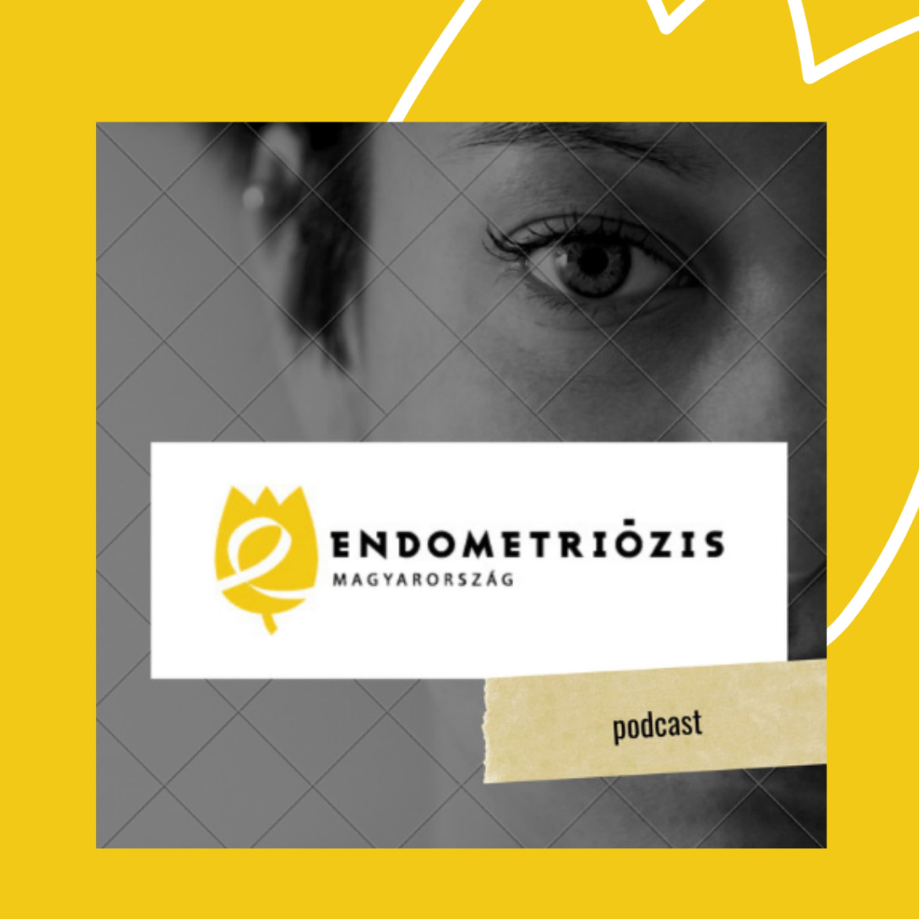 "Az orvos is ember"-"Minden sebésznek megvan a műtét előtti rituáléja." (Dr. Sztipits Tamás)