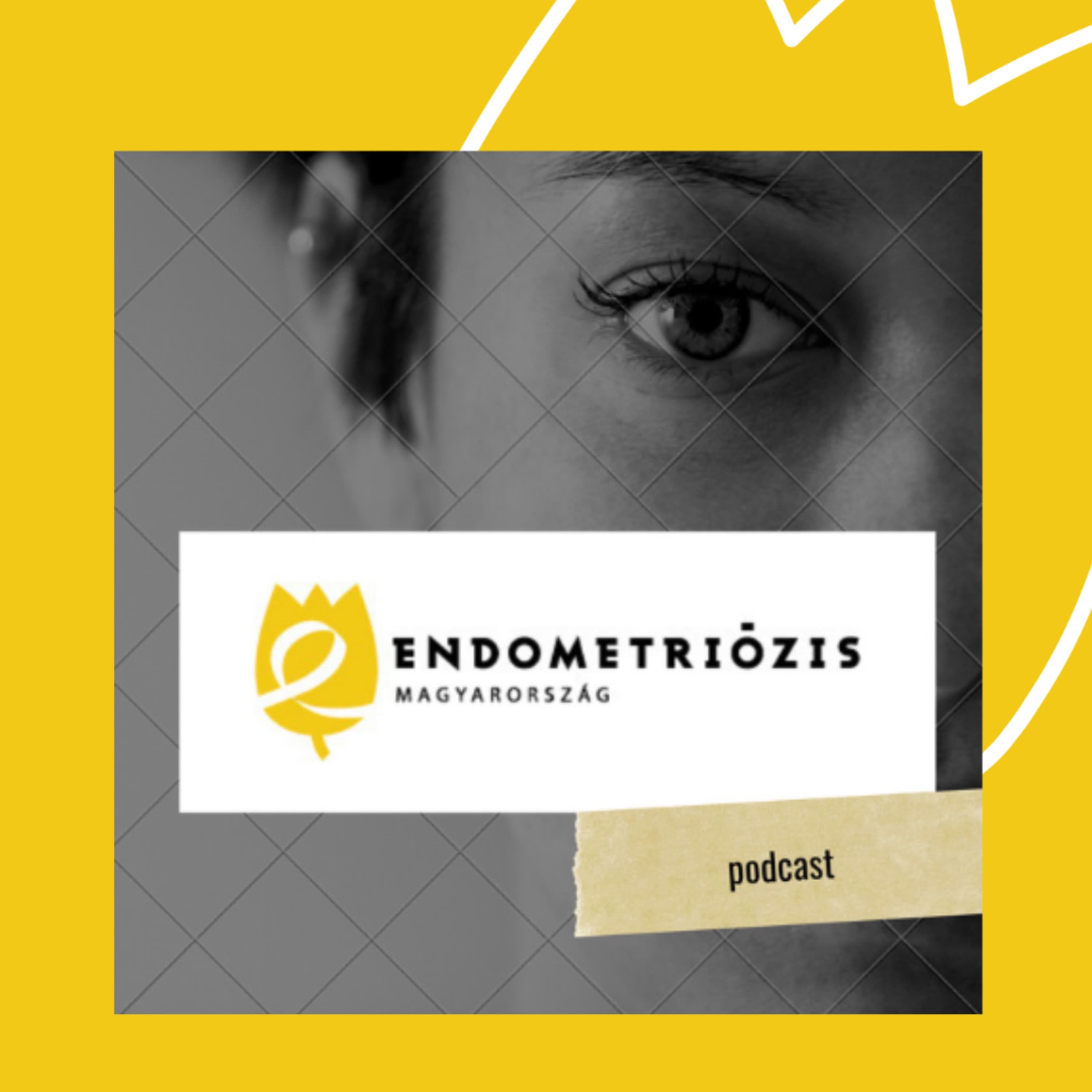 „Az orvos is ember”-"Egy jó orvos nem csak a szike Paganinije, hanem a pácienssel folytatott beszélgetésnek egy jó moderátora is." (Dr. Koiss Róbert)