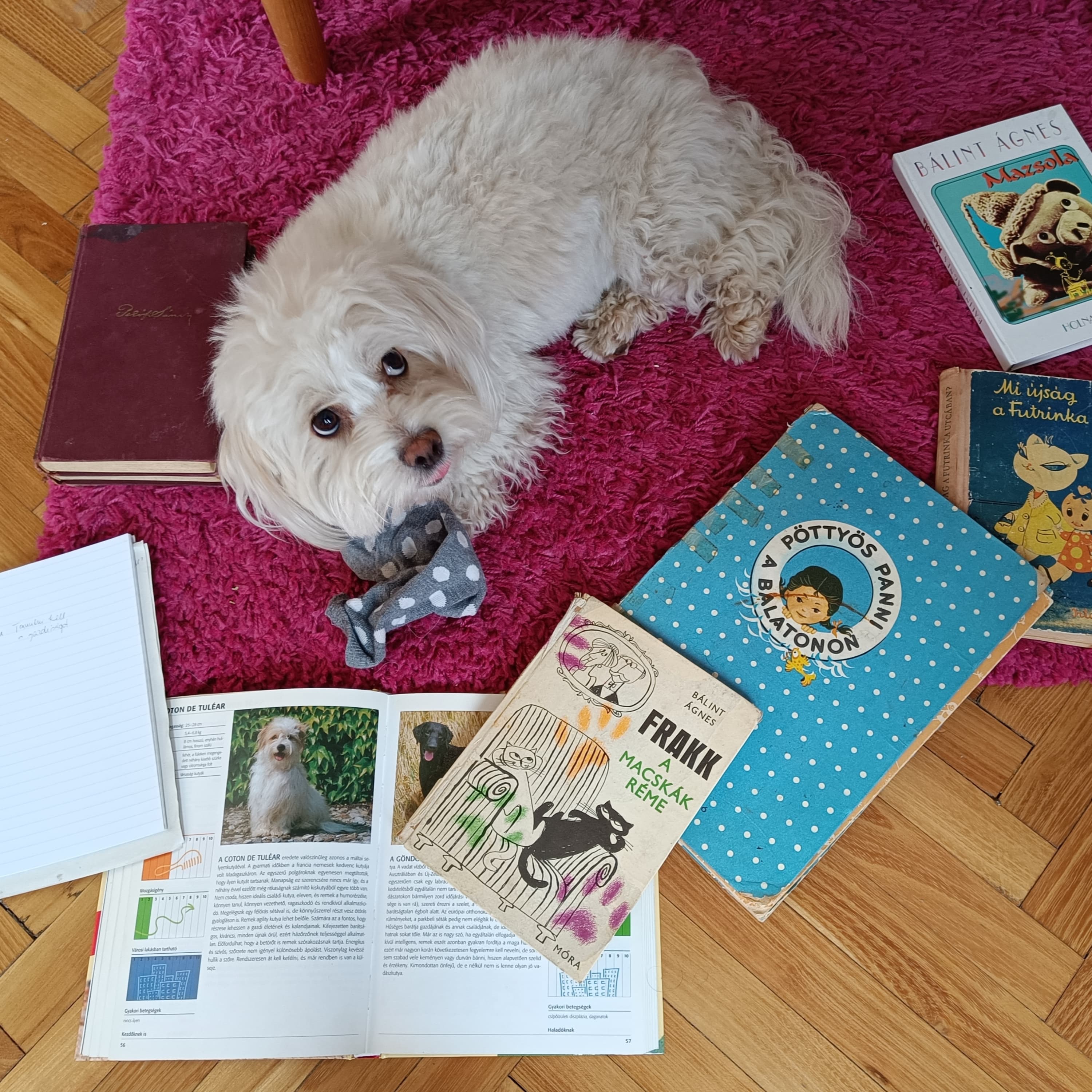 Tanulni kell a gazdiságot