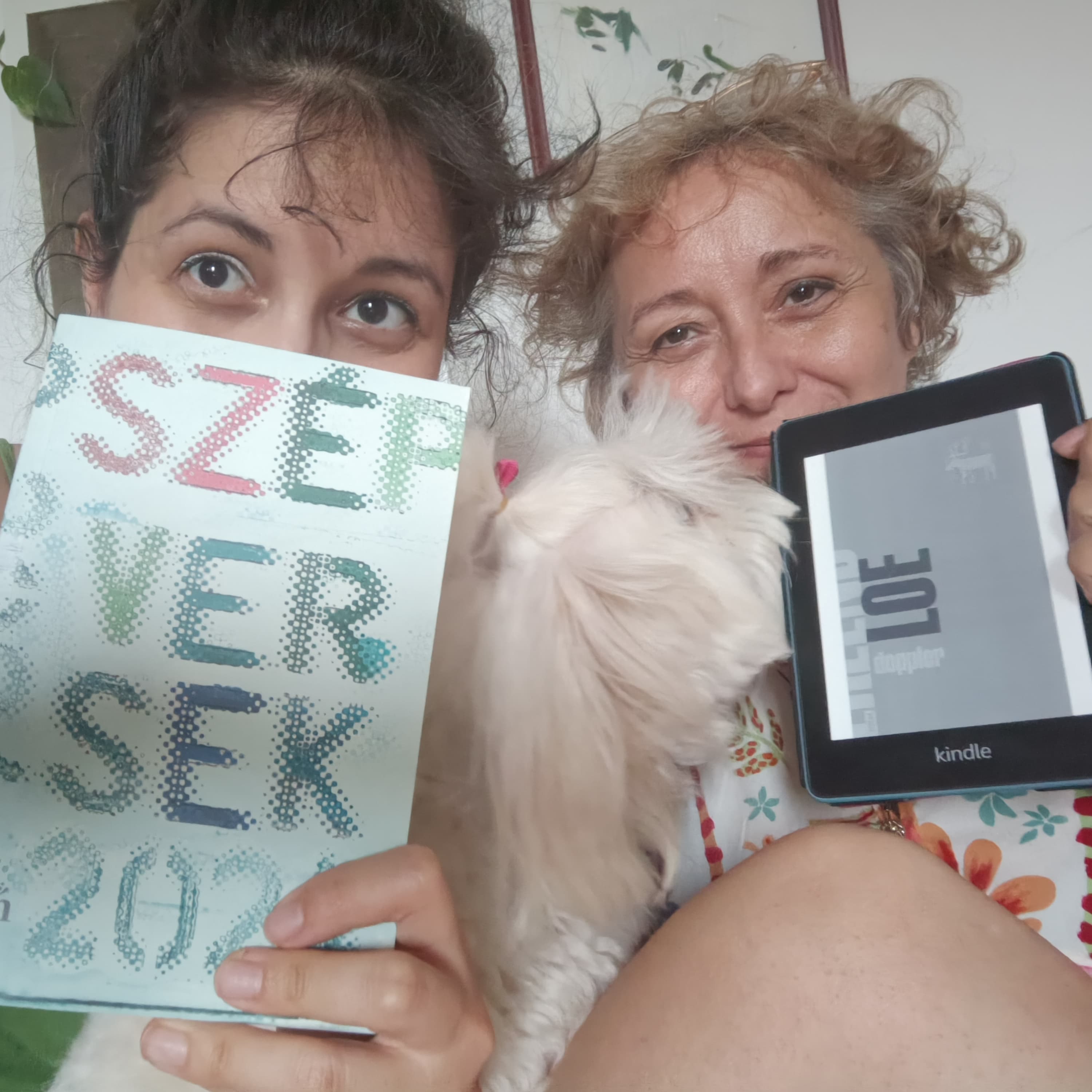 Közélet és irodalom