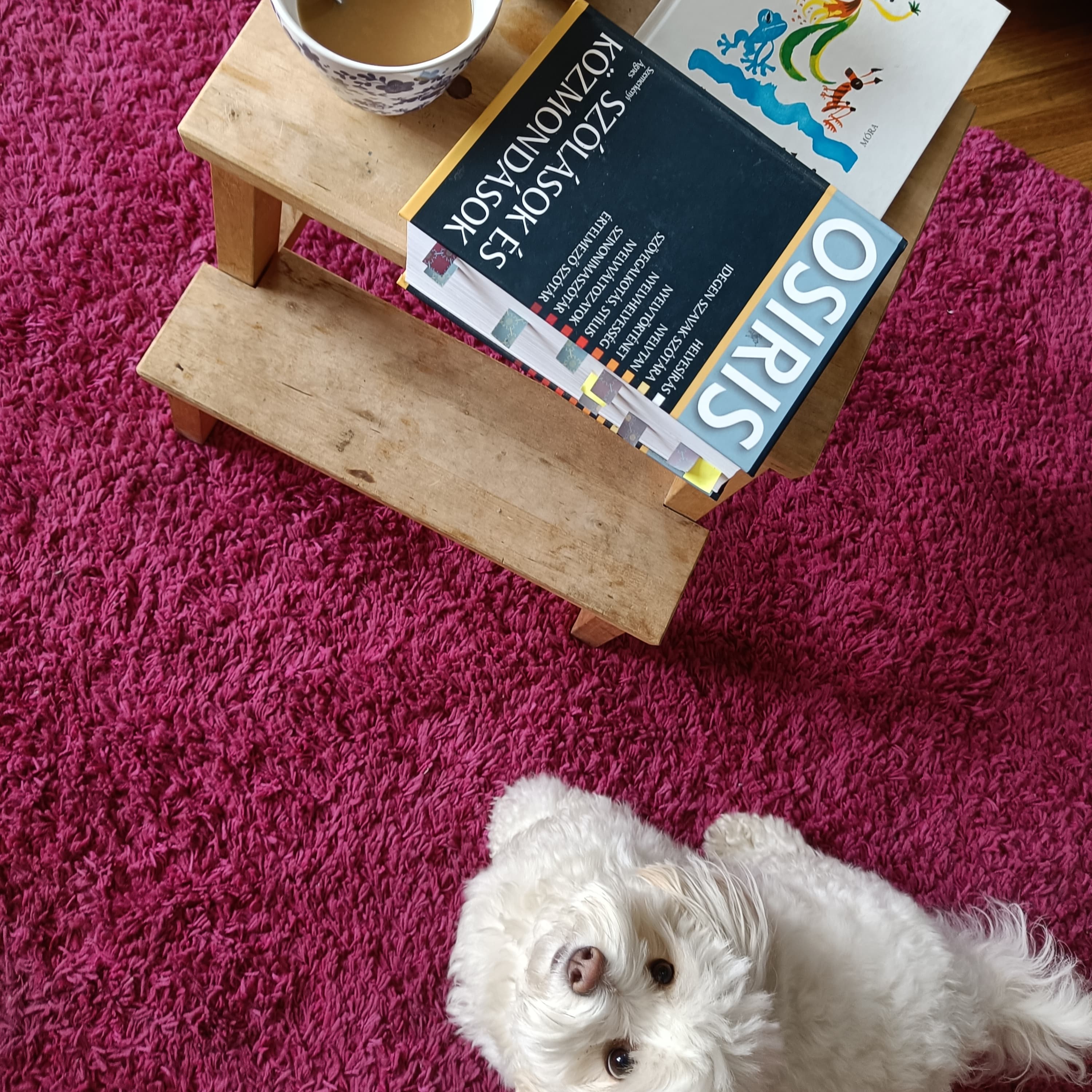 30. Tényleg nem zörög?