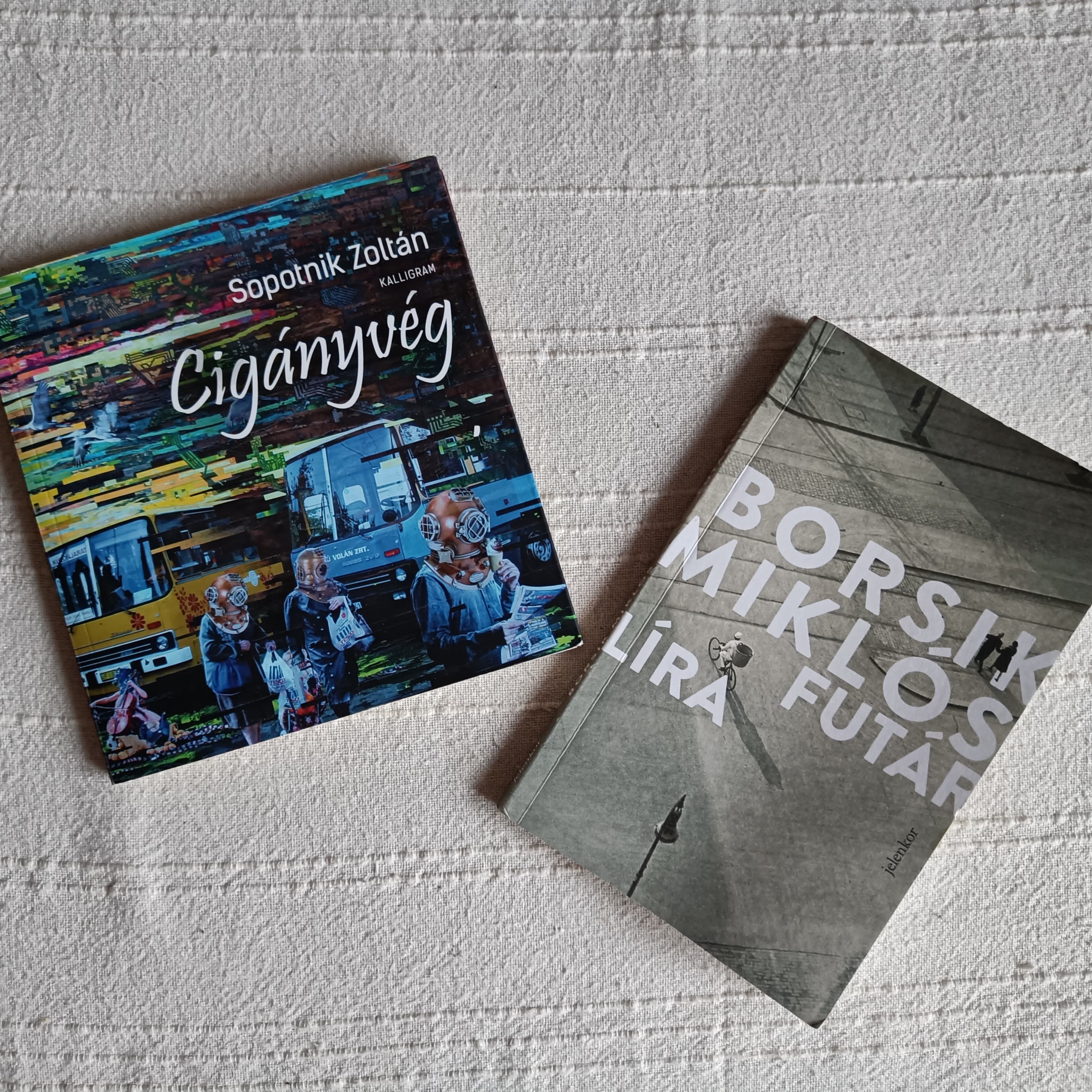 31. Olvasókör: Borsik, Sopotnik