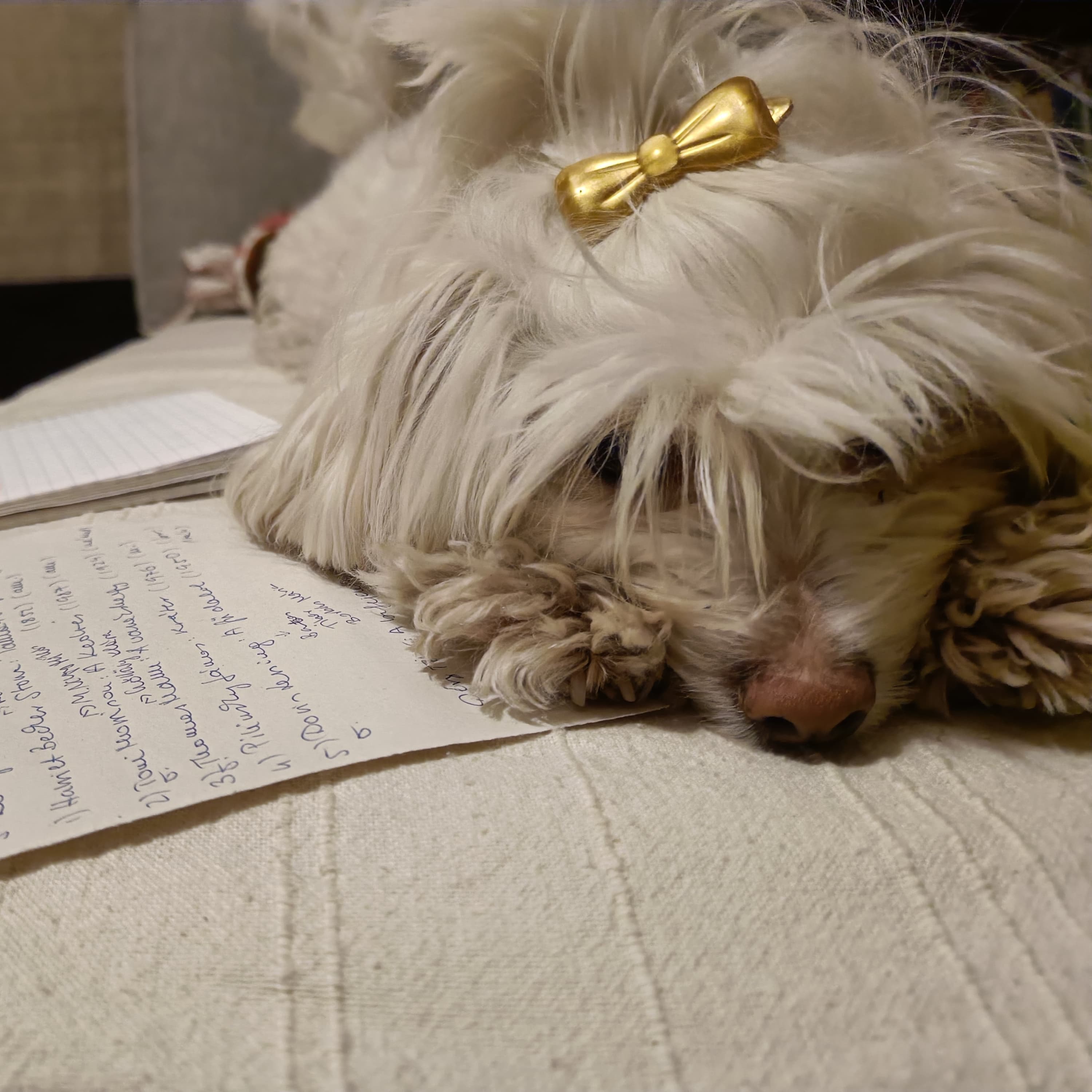 32. Számvetés és top6-ok