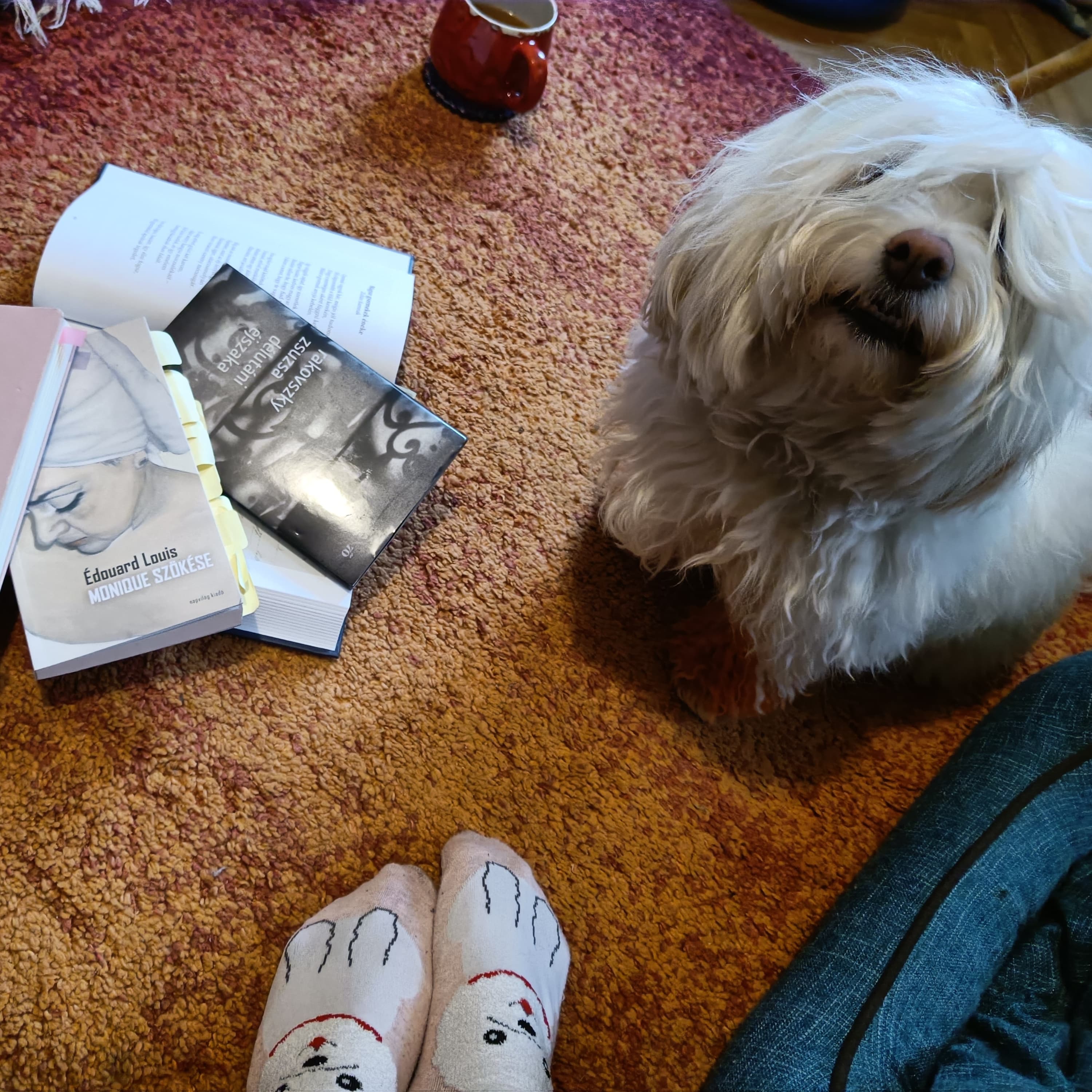 34. Választás és könyvbemutató előtt