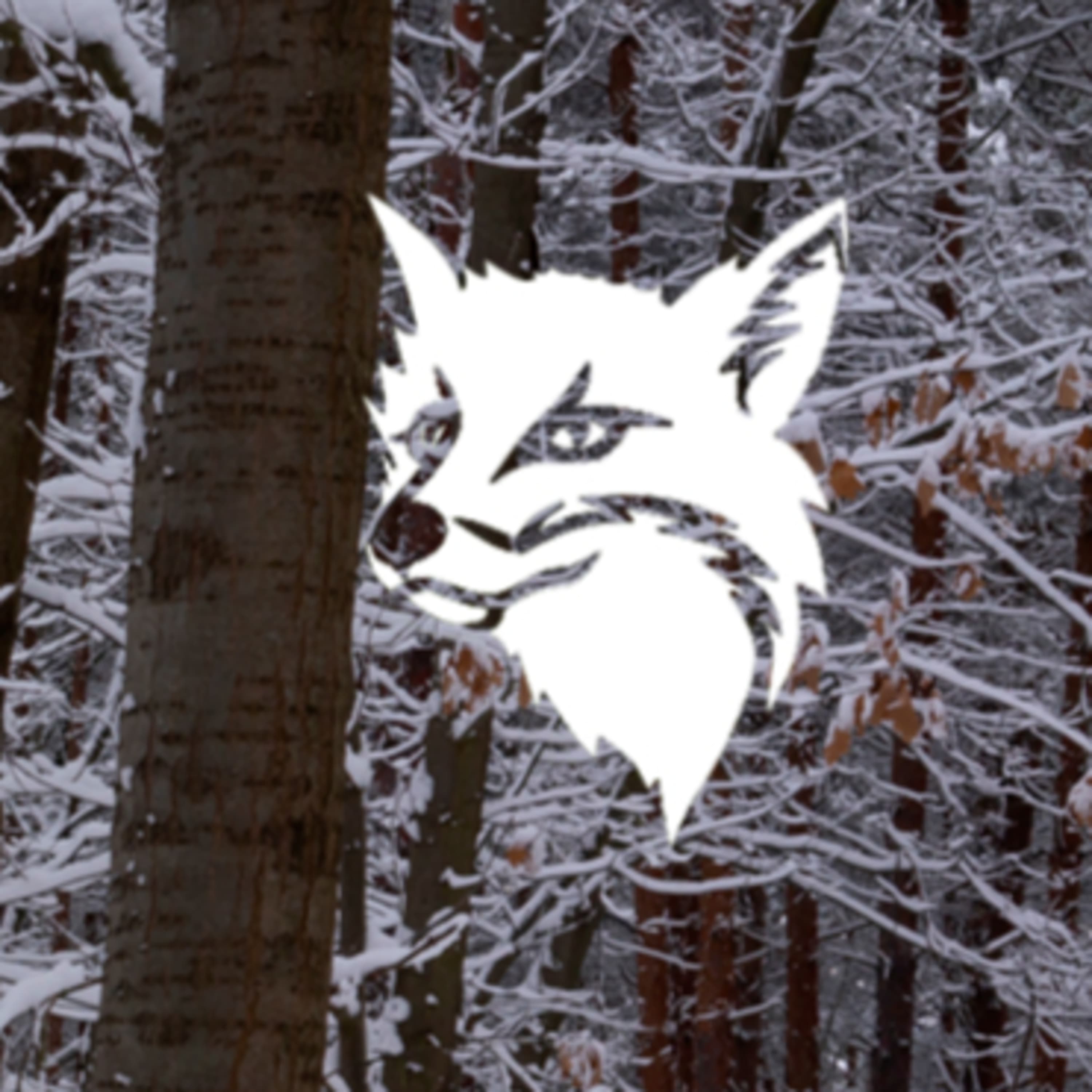 🎄 Fekete István: Karácsony és Szilveszter között – Újévi adás Csőre Gáborral 🍾