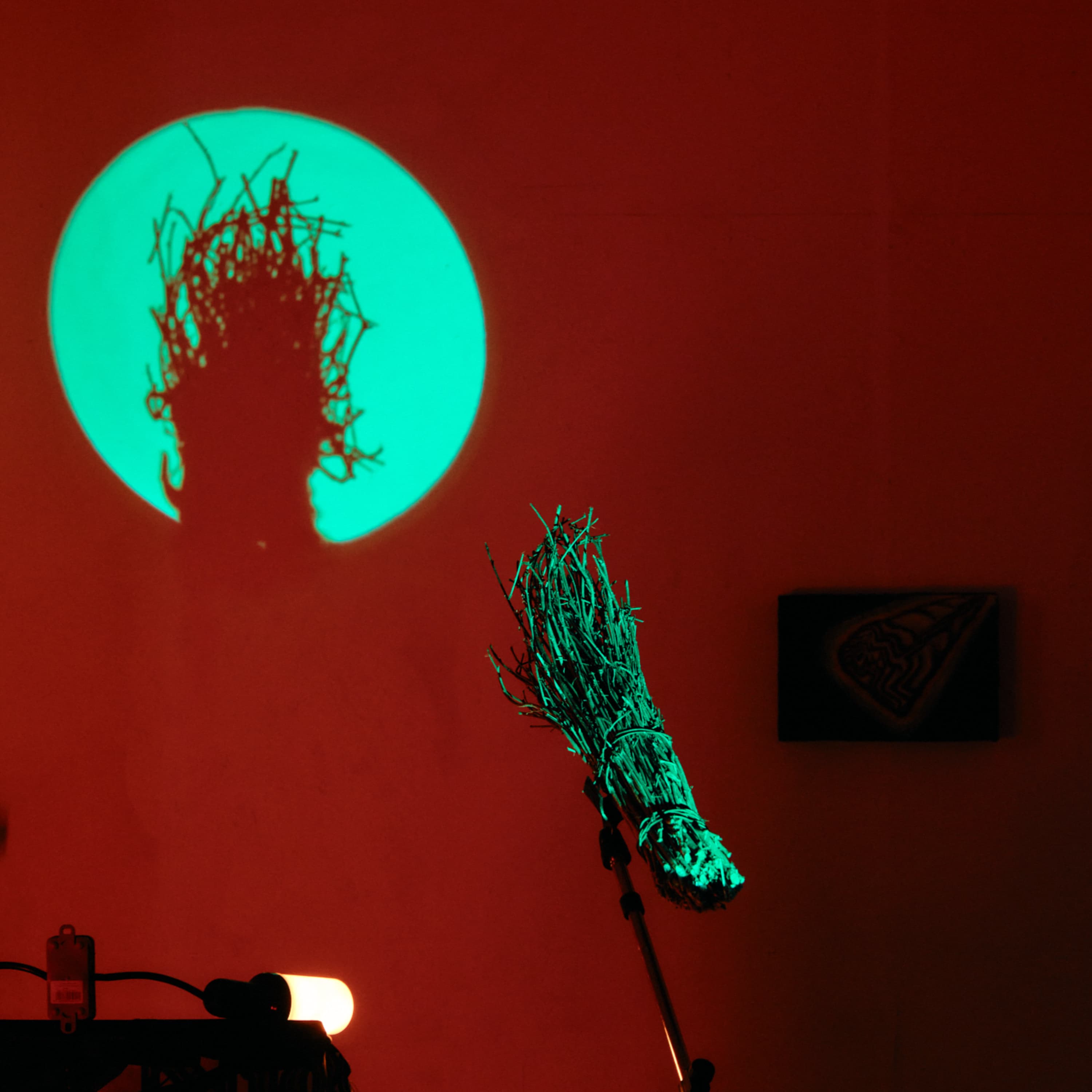 Litera Rádió: Nemes Z. Márió zenés felolvasása