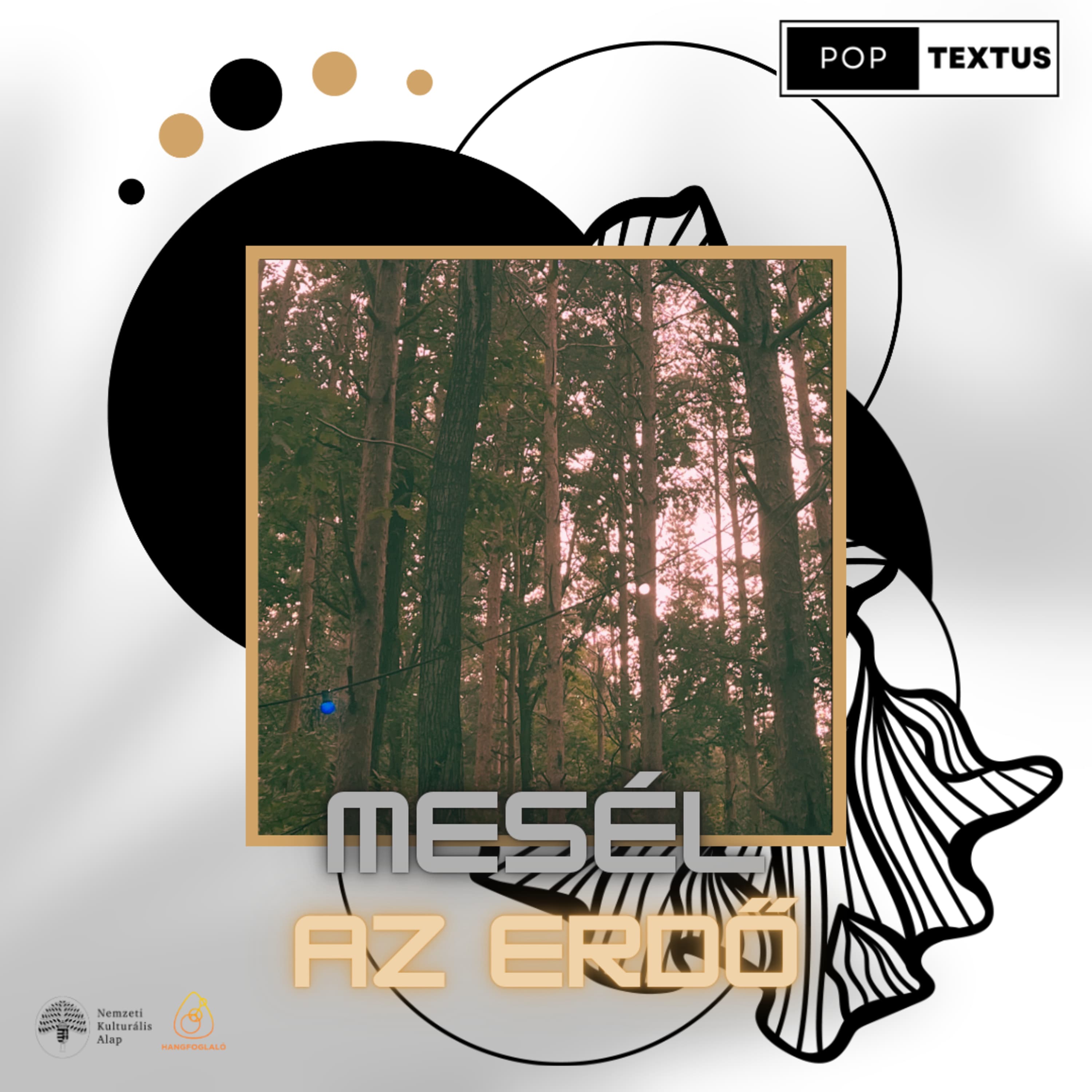 FOO x Mesél az erdő - PopTextus Podcast - vendég: Bodor Áron (A csendesebb részem), Fehér Lili (Lenkke_) - Fishing On Orfű